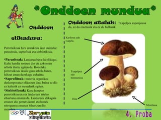 Onddoen  elikadura: Perretxikoak hiru eratakoak izan daitezke: parasitoak, saprofitak eta sinbiotikoak. Parasitoak:  Landarea bera du elikagai. Kalte handia sortzen dio eta azkenean arbola ihartu egiten da. Honelako perretxikoak ikusiz gero arbola baten, hiltzat eman dezakegu zuhaitza. Saprofitoak:  materia organikoa deskonposatuz elikatzen dira, baina ez dio ez kalterik ez mesederik egiten. Sinbiotikoak:  Kasu honetan perretxikoaren eta landareen arteko elkarlana ematen da. Landareak elikagaia ematen dio perretxikoari eta honek nitrogenoa emanez bihurtzen dio mesedea. Onddoen atalak:  Txapelpea esponjosoa du, ez du eraztunik eta ez du bulbarik. Karforoa edo txapela. Txapelpea edo himmenioa Oina Mizelinoa 