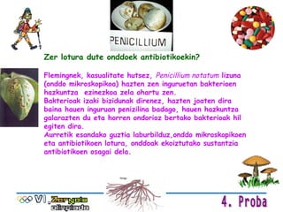 Zer lotura dute onddoek antibiotikoekin? Flemingnek, kasualitate hutsez,  Penicillium notatum  lizuna (onddo mikroskopikoa) hazten zen inguruetan bakterioen hazkuntza  ezinezkoa zela ohartu zen.  Bakterioak izaki bizidunak direnez, hazten joaten dira baina hauen inguruan penizilina badago, hauen hazkuntza galarazten du eta horren ondorioz bertako bakterioak hil egiten dira. Aurretik esandako guztia laburbilduz,onddo mikroskopikoen eta antibiotikoen lotura, onddoak ekoiztutako sustantzia antibiotikoen osagai dela. 