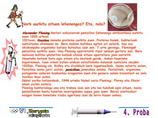 Nork aurkitu zituen lehenengoz? Eta, nola? Alexander Fleming  ikerlari eskoziarrak penizilina (lehenengo antibiotikoa) aurkitu zuen 1928.urtean. 1921ean,  lisozima  izeneko proteina aurkitu zuen. Proteina honek, bakterioak suntsitzeko ahalmena du. Bere mukien kultiboa egiten ari zelarik, hau oso ohizkanpoko organismo batzez kutsatua izan zen. 7 urte geroago, Flemingek penizilina aurkitu zuen. Hau Fleming oporretatik itzuli zenean gertatu zen. Bere mahaian kultibo-platertxo batzuk utziak zituen oporretara joan aurretik. Hauetako batzuk bota egin zituen eta besteak gorde. Azken hauetako bigarrenean, lizun orban baten-ondoan estafilokoko-koloniak suntsiuta zeuden. 1929an, Fleming-ek, Ridley eta Craddock bere laguntzaileek, lizuna aztertu zuten, Penizilina izena jarri zioten,  penicilium   jenerokoa zelako. Penizilinak, organismo patogeniko askoren hazkuntza eragozten zuen eta gainera zelula bizientzat ez zela toxikoa ikusi zuten.  Nobel sariko batzordeak, 1944.urteko Nobel saria Flemingi, Florey eta Chaini eman zioten batera.  Fleming bakteriologo ona eta trebea izan zen eta lan handiak egin zituen, baina penizilinaren kontu honetan neurrigabeko ospea jaso zuen. Beraz zientzialari ezagun honen benetako irudia agertzea izan da lerro hauen asmoa. 