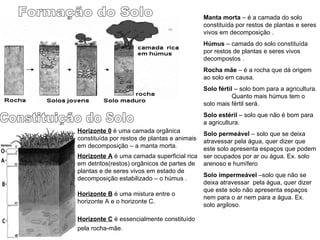 Formação do Solo Manta morta  – é a camada do solo constituída por restos de plantas e seres vivos em decomposição .  Húmus  – camada do solo constituída por restos de plantas e seres vivos decompostos .  Rocha mãe  – é a rocha que dá origem ao solo em causa. Solo fértil  – solo bom para a agricultura.  Quanto mais húmus tem o solo mais fértil será. Solo estéril  – solo que não é bom para a agricultura. Solo permeável  – solo que se deixa atravessar pela água, quer dizer que este solo apresenta espaços que podem ser ocupados por ar ou água. Ex. solo arenoso e humífero Solo impermeável  –solo que não se deixa atravessar  pela água, quer dizer que este solo não apresenta espaços nem para o ar nem para a água. Ex. solo argiloso. Constituição do Solo Horizonte C  é essencialmente constituído pela rocha-mãe.   Horizonte B  é uma mistura entre o horizonte A e o horizonte C. Horizonte 0  é uma camada orgânica constituída por restos de plantas e animais em decomposição – a manta morta.  Horizonte A  é uma camada superficial rica em detritos(restos) orgânicos de partes de plantas e de seres vivos em estado de decomposição estabilizado – o húmus . 