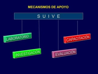 MECANISMOS DE APOYO S  U  I  V  E 