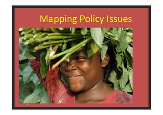 Mapping Policy Issues 
1 
 