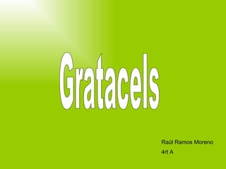 Gratacels Raúl  Ramos  Moreno 4rt A 