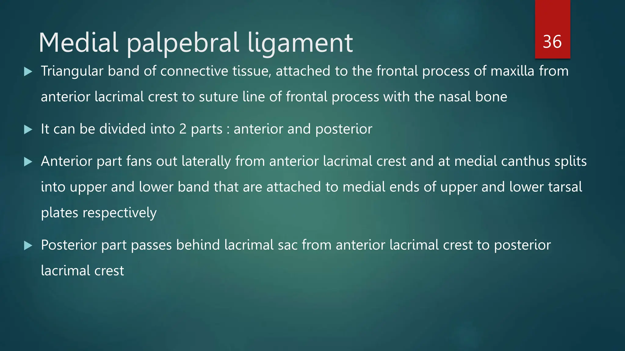 anatomy of eyelid ophthalmology presentation | PPTX