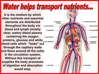 It is the medium by which
other nutrients and essential
elements are distributed
throughout the body via
blood and lymph (mostly
clear, watery blood plasma
containing the oxygen,
proteins, glucose and white
blood cells which "leaks" out
through the capillary walls
and flows around all the cells)
in the circulation system.
Without this transport of
supplies the body processes
of digestion and absorption
would stop.
 