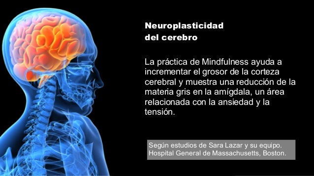Atencion Imagenes Mentales Y Conciencia | mindfulness el l 237 der atento el nuevo modelo de 233 xito Atencion Imagenes Mentales Y Conciencia | mindfulness el l 237 der atento el nuevo modelo de 233 xito