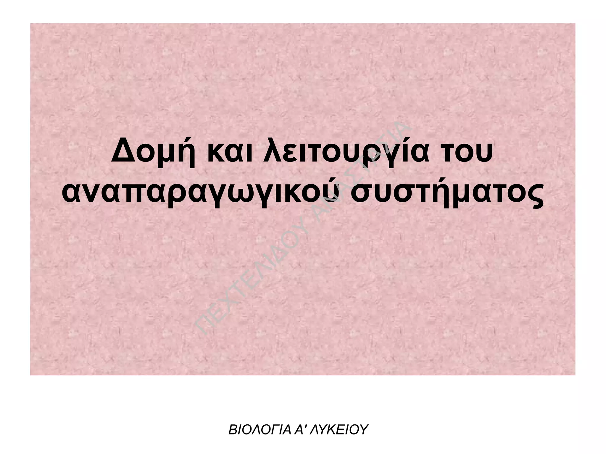 Δομή και λειτουργία του
αναπαραγωγικού συστήματος
ΒΙΟΛΟΓΙΑ Α' ΛΥΚΕΙΟΥ
Π
ΕΧΤΕΛΙΔΟ
Υ
ΑΝ
ΑΣΤΑΣΙΑ
 