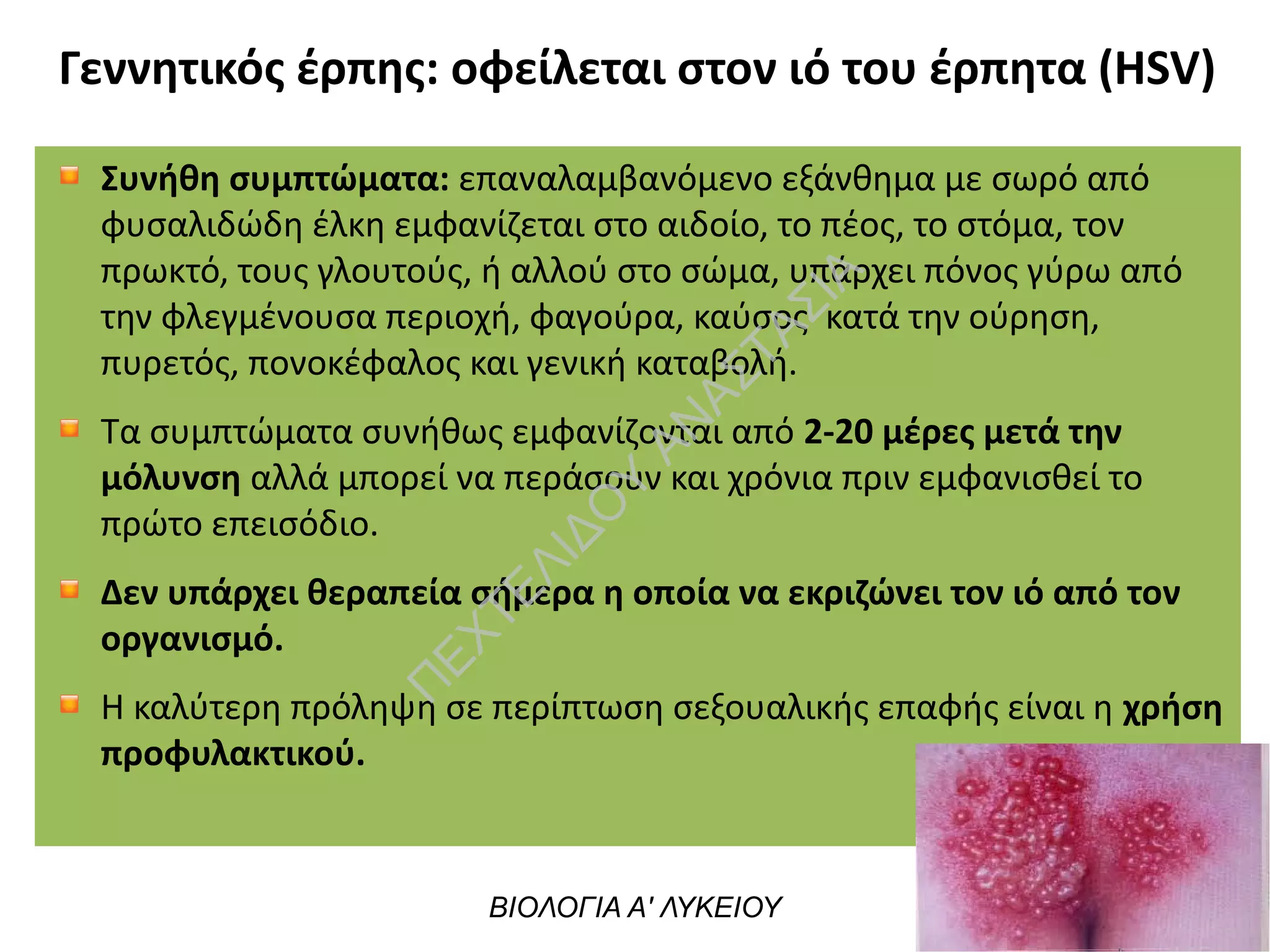 Γεννητικός έρπης: οφείλεται στον ιό του έρπητα (HSV)
Συνήθη συμπτώματα: επαναλαμβανόμενο εξάνθημα με σωρό από
φυσαλιδώδη έλκη εμφανίζεται στο αιδοίο, το πέος, το στόμα, τον
πρωκτό, τους γλουτούς, ή αλλού στο σώμα, υπάρχει πόνος γύρω από
την φλεγμένουσα περιοχή, φαγούρα, καύσος  κατά την ούρηση,
πυρετός, πονοκέφαλος και γενική καταβολή.
Τα συμπτώματα συνήθως εμφανίζονται από 2-20 μέρες μετά την
μόλυνση αλλά μπορεί να περάσουν και χρόνια πριν εμφανισθεί το
πρώτο επεισόδιο.
Δεν υπάρχει θεραπεία σήμερα η οποία να εκριζώνει τον ιό από τον
οργανισμό.
Η καλύτερη πρόληψη σε περίπτωση σεξουαλικής επαφής είναι η χρήση
προφυλακτικού.
ΒΙΟΛΟΓΙΑ Α' ΛΥΚΕΙΟΥ
Π
ΕΧΤΕΛΙΔΟ
Υ
ΑΝ
ΑΣΤΑΣΙΑ
 
