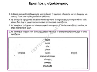 Ερωτήσεις αξιολόγησης
Π
ΕΧΤΕΛΙΔΟ
Υ
ΑΝ
ΑΣΤΑΣΙΑ
 