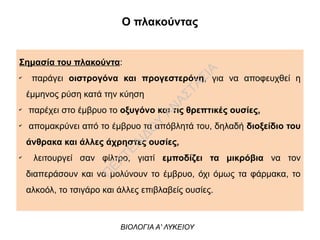 Σημασία του πλακούντα:
✔
παράγει οιστρογόνα και προγεστερόνη, για να αποφευχθεί η
έμμηνος ρύση κατά την κύηση
✔
παρέχει στο έμβρυο το οξυγόνο και τις θρεπτικές ουσίες,
✔
απομακρύνει από το έμβρυο τα απόβλητά του, δηλαδή διοξείδιο του
άνθρακα και άλλες άχρηστες ουσίες,
✔
λειτουργεί σαν φίλτρο, γιατί εμποδίζει τα μικρόβια να τον
διαπεράσουν και να μολύνουν το έμβρυο, όχι όμως τα φάρμακα, το
αλκοόλ, το τσιγάρο και άλλες επιβλαβείς ουσίες.
Ο πλακούντας
ΒΙΟΛΟΓΙΑ Α' ΛΥΚΕΙΟΥ
Π
ΕΧΤΕΛΙΔΟ
Υ
ΑΝ
ΑΣΤΑΣΙΑ
 