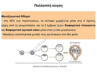 ΒΙΟΛΟΓΙΑ ΓΕΝΙΚΗΣ ΠΑΙΔΕΙΑΣ Α' ΛΥΚΕΙΟΥ
Μονοζυγωτικά δίδυμα:
➢ στο 30% των περιπτώσεων, τα κύτταρα χωρίζονται μέσα στις 4 πρώτες
μέρες από τη γονιμοποίηση, και τα 2 έμβρυα έχουν διαφορετικό πλακούντα
και διαφορετικό αμνιακό σάκο μέσα στον οποίο μεγαλώνουν
➢ Μοιάζουν καταπληκτικά μεταξύ τους και ανήκουν στο ίδιο φύλο
Πολλαπλή κύηση
Π
ΕΧΤΕΛΙΔΟ
Υ
ΑΝ
ΑΣΤΑΣΙΑ
 