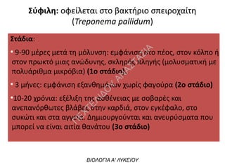 ΒΙΟΛΟΓΙΑ Α' ΛΥΚΕΙΟΥ
Στάδια:
●
9-90 μέρες μετά τη μόλυνση: εμφάνιση στο πέος, στον κόλπο ή
στον πρωκτό μιας ανώδυνης, σκληρής πληγής (μολυσματική με
πολυάριθμα μικρόβια) (1ο στάδιο).
●
3 μήνες: εμφάνιση εξανθημάτων χωρίς φαγούρα (2ο στάδιο)
●
10-20 χρόνια: εξέλιξη της ασθένειας με σοβαρές και
ανεπανόρθωτες βλάβες στην καρδιά, στον εγκέφαλο, στο
συκώτι και στα αγγεία. Δημιουργούνται και ανευρύσματα που
μπορεί να είναι αιτία θανάτου (3ο στάδιο)
Σύφιλη: οφείλεται στο βακτήριο σπειροχαίτη
(Treponema pallidum)
Π
ΕΧΤΕΛΙΔΟ
Υ
ΑΝ
ΑΣΤΑΣΙΑ
 