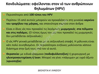 Κονδυλώματα: οφείλονται στον ιό των ανθρώπινων
θηλωμάτων (HPV)
ΒΙΟΛΟΓΙΑ Α' ΛΥΚΕΙΟΥ
Περισσότεροι από 100 τύποι του HPV
Περίπου 15 από αυτούς μπορούν να προκαλέσουν στη γυναίκα καρκίνο
του τραχήλου της μήτρας, και σπανιότερα καρκίνο στον άνδρα
Είναι ο ίδιος ιός που προκαλεί τις λεγόμενες μυρμηγκιές  στα πέλματα
και στις παλάμες. (Ο τύπος όμως του ιού που προκαλεί τις μυρμηγκιές
δεν μεταδίδεται σεξουαλικά.)
Ο ιός HPV γενικά μεταδίδεται με τη σεξουαλική επαφή. Η μόλυνση είναι
κάτι πολύ συνηθισμένο. Οι περισσότεροι ενήλικες μολύνονται κάποιο
διάστημα στην ζωή τους από τον ιό αυτό.
Θεραπεία: με ειδικά φάρμακα (ποδοφυλλοτοξίνη) ή χειρουργική με
ηλεκτροκαυτηρίαση ή laser. Μπορεί να γίνει «πάγωμα» με υγρό άζωτο
(κρυοπηξία)
Π
ΕΧΤΕΛΙΔΟ
Υ
ΑΝ
ΑΣΤΑΣΙΑ
 