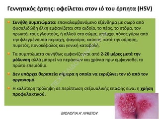 Γεννητικός έρπης: οφείλεται στον ιό του έρπητα (HSV)
Συνήθη συμπτώματα: επαναλαμβανόμενο εξάνθημα με σωρό από
φυσαλιδώδη έλκη εμφανίζεται στο αιδοίο, το πέος, το στόμα, τον
πρωκτό, τους γλουτούς, ή αλλού στο σώμα, υπάρχει πόνος γύρω από
την φλεγμένουσα περιοχή, φαγούρα, καύσος  κατά την ούρηση,
πυρετός, πονοκέφαλος και γενική καταβολή.
Τα συμπτώματα συνήθως εμφανίζονται από 2-20 μέρες μετά την
μόλυνση αλλά μπορεί να περάσουν και χρόνια πριν εμφανισθεί το
πρώτο επεισόδιο.
Δεν υπάρχει θεραπεία σήμερα η οποία να εκριζώνει τον ιό από τον
οργανισμό.
Η καλύτερη πρόληψη σε περίπτωση σεξουαλικής επαφής είναι η χρήση
προφυλακτικού.
ΒΙΟΛΟΓΙΑ Α' ΛΥΚΕΙΟΥ
Π
ΕΧΤΕΛΙΔΟ
Υ
ΑΝ
ΑΣΤΑΣΙΑ
 