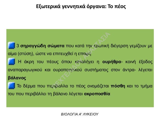 Άκρες του μεγάλου πέους