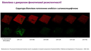 12 Мошинець, 2023.pdf