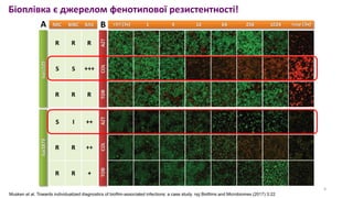 12 Мошинець, 2023.pdf