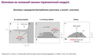 12 Мошинець, 2023.pdf