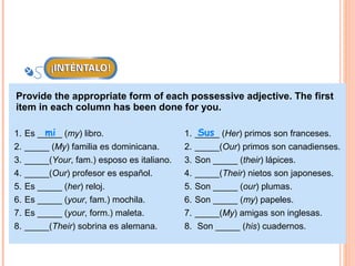 Provide the appropriate form of each possessive adjective. The first
item in each column has been done for you.

1.        mi
     Es _____ (my) libro.                    1.    Sus
                                                  _____ (Her) primos son franceses.
2.   _____ (My) familia es dominicana.       2.   _____(Our) primos son canadienses.
3.   _____(Your, fam.) esposo es italiano.   3.   Son _____ (their) lápices.
4.   _____(Our) profesor es español.         4.   _____(Their) nietos son japoneses.
5.   Es _____ (her) reloj.                   5.   Son _____ (our) plumas.
6.   Es _____ (your, fam.) mochila.          6.   Son _____ (my) papeles.
7.   Es _____ (your, form.) maleta.          7.   _____(My) amigas son inglesas.
8.   _____(Their) sobrina es alemana.        8.    Son _____ (his) cuadernos.
 