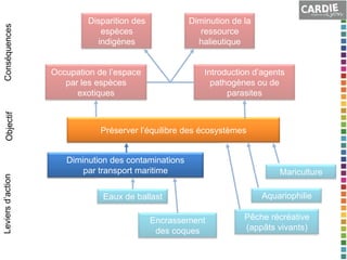 Conséquences
Objectif
Leviers d’action

Disparition des
espèces
indigènes

Diminution de la
ressource
halieutique

Occupation de l’espace
par les espèces
exotiques

Introduction d’agents
pathogènes ou de
parasites

Préserver l’équilibre des écosystèmes

Diminution des contaminations
par transport maritime
Eaux de ballast
Encrassement
des coques

Mariculture
Aquariophilie

Pêche récréative
(appâts vivants)

 