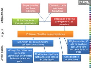 Effets attendus
Objectif
Leviers d’action

Disparition des
espèces
indigènes

Moins d’espèces
invasives observées

Diminution de la
ressource
halieutique
Introduction d’agents
pathogènes ou de
parasites

Préserver l’équilibre des écosystèmes

Diminution des contaminations
par transport maritime
Vidange des ballasts en
pleine mer
Stérilisation des ballasts
Traitement dans les
ports

Revêtements spéciaux
Nettoyage des coques
en cale sèche

Réglementation, C
ode de conduite
pour une pêche
responsable de la
FAO
Sensibilisation
et éducation

 