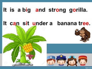 It is a big and strong gorilla.
It can sit under a banana tree.
tree.
 