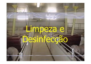 Limpeza e
Desinfecção

    Sandra Ribeiro   1
 