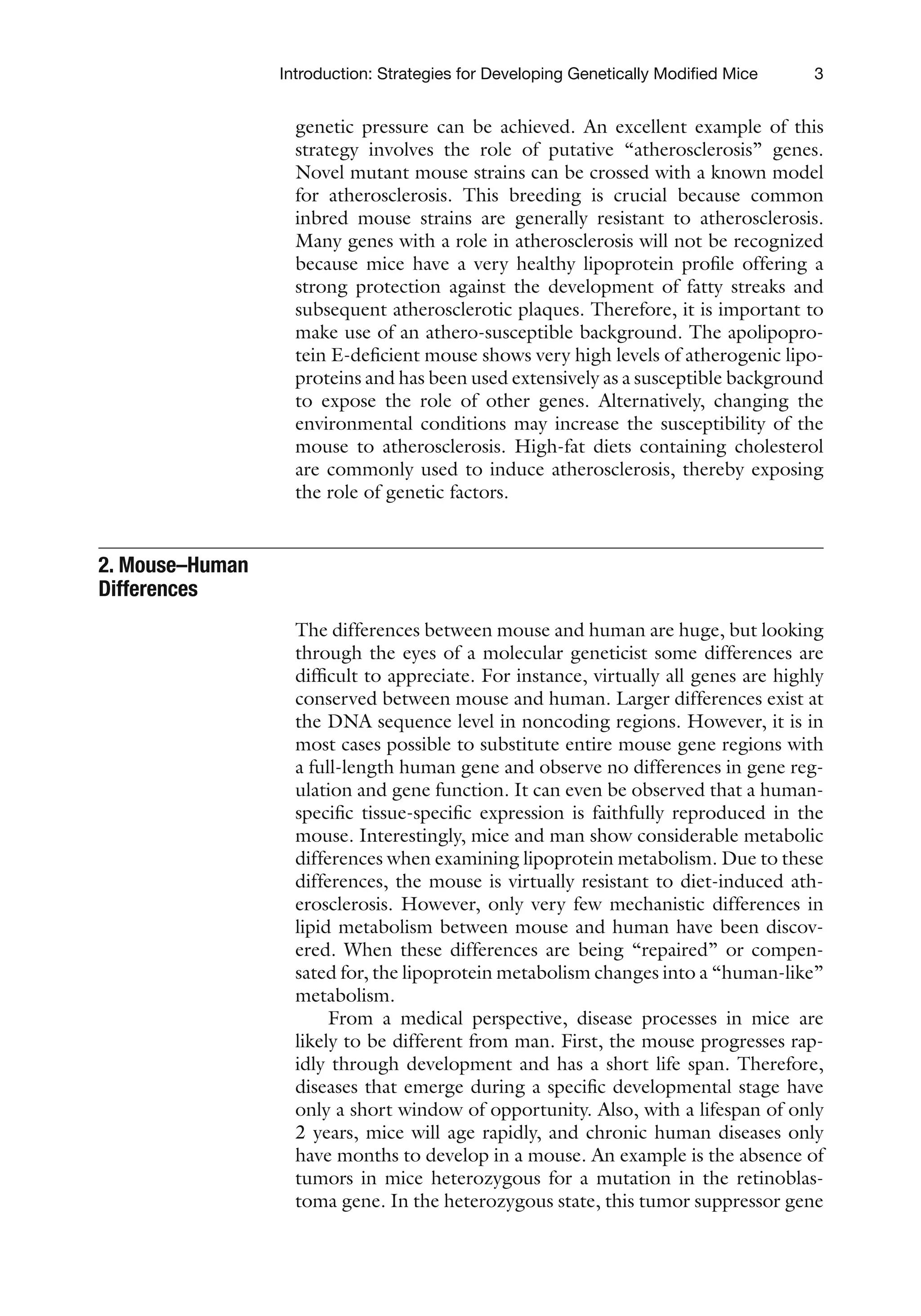 3
Introduction: Strategies for Developing Genetically Modified Mice
genetic pressure can be achieved. An excellent example of this
strategy involves the role of putative “atherosclerosis” genes.
Novel mutant mouse strains can be crossed with a known model
for atherosclerosis. This breeding is crucial because common
inbred mouse strains are generally resistant to atherosclerosis.
Many genes with a role in atherosclerosis will not be recognized
because mice have a very healthy lipoprotein profile offering a
strong protection against the development of fatty streaks and
subsequent atherosclerotic plaques. Therefore, it is important to
make use of an athero-susceptible background. The apolipopro-
tein E-deficient mouse shows very high levels of atherogenic lipo-
proteins and has been used extensively as a susceptible background
to expose the role of other genes. Alternatively, changing the
environmental conditions may increase the susceptibility of the
mouse to atherosclerosis. High-fat diets containing cholesterol
are commonly used to induce atherosclerosis, thereby exposing
the role of genetic factors.
The differences between mouse and human are huge, but looking
through the eyes of a molecular geneticist some differences are
difficult to appreciate. For instance, virtually all genes are highly
conserved between mouse and human. Larger differences exist at
the DNA sequence level in noncoding regions. However, it is in
most cases possible to substitute entire mouse gene regions with
a full-length human gene and observe no differences in gene reg-
ulation and gene function. It can even be observed that a human-
specific tissue-specific expression is faithfully reproduced in the
mouse. Interestingly, mice and man show considerable metabolic
differences when examining lipoprotein metabolism. Due to these
differences, the mouse is virtually resistant to diet-induced ath-
erosclerosis. However, only very few mechanistic differences in
lipid metabolism between mouse and human have been discov-
ered. When these differences are being “repaired” or compen-
sated for, the lipoprotein metabolism changes into a “human-like”
metabolism.
From a medical perspective, disease processes in mice are
likely to be different from man. First, the mouse progresses rap-
idly through development and has a short life span. Therefore,
diseases that emerge during a specific developmental stage have
only a short window of opportunity. Also, with a lifespan of only
2 years, mice will age rapidly, and chronic human diseases only
have months to develop in a mouse. An example is the absence of
tumors in mice heterozygous for a mutation in the retinoblas-
toma gene. In the heterozygous state, this tumor suppressor gene
2. Mouse–Human
Differences
 