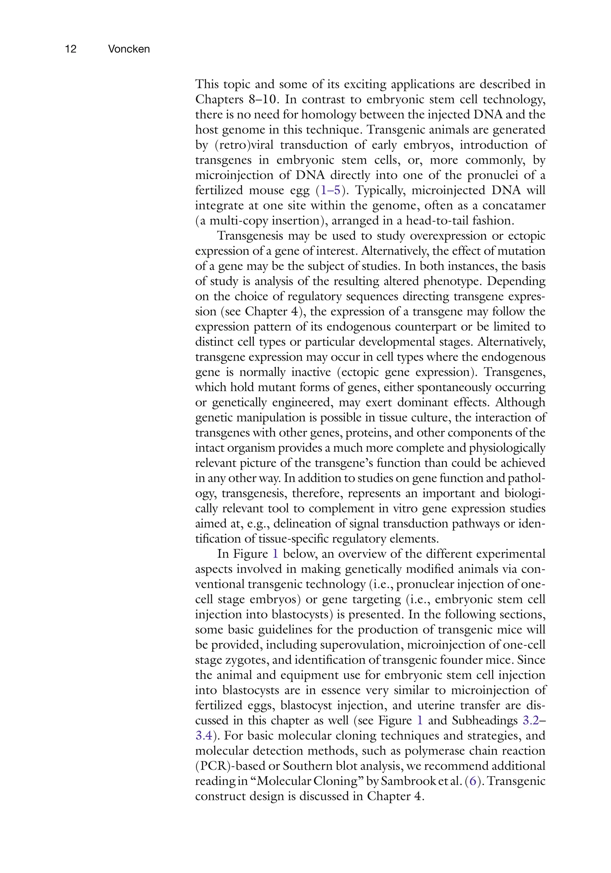 12 Voncken
This topic and some of its exciting applications are described in
Chapters 8–10. In contrast to embryonic stem cell technology,
there is no need for homology between the injected DNA and the
host genome in this technique. Transgenic animals are generated
by (retro)viral transduction of early embryos, introduction of
transgenes in embryonic stem cells, or, more commonly, by
microinjection of DNA directly into one of the pronuclei of a
fertilized mouse egg (1–5). Typically, microinjected DNA will
integrate at one site within the genome, often as a concatamer
(a multi-copy insertion), arranged in a head-to-tail fashion.
Transgenesis may be used to study overexpression or ectopic
expression of a gene of interest. Alternatively, the effect of mutation
of a gene may be the subject of studies. In both instances, the basis
of study is analysis of the resulting altered phenotype. Depending
on the choice of regulatory sequences directing transgene expres-
sion (see Chapter 4), the expression of a transgene may follow the
expression pattern of its endogenous counterpart or be limited to
distinct cell types or particular developmental stages. Alternatively,
transgene expression may occur in cell types where the endogenous
gene is normally inactive (ectopic gene expression). Transgenes,
which hold mutant forms of genes, either spontaneously occurring
or genetically engineered, may exert dominant effects. Although
genetic manipulation is possible in tissue culture, the interaction of
transgenes with other genes, proteins, and other components of the
intact organism provides a much more complete and physiologically
relevant picture of the transgene’s function than could be achieved
in any other way. In addition to studies on gene function and pathol-
ogy, transgenesis, therefore, represents an important and biologi-
cally relevant tool to complement in vitro gene expression studies
aimed at, e.g., delineation of signal transduction pathways or iden-
tification of tissue-specific regulatory elements.
In Figure 1 below, an overview of the different experimental
aspects involved in making genetically modified animals via con-
ventional transgenic technology (i.e., pronuclear injection of one-
cell stage embryos) or gene targeting (i.e., embryonic stem cell
injection into blastocysts) is presented. In the following sections,
some basic guidelines for the production of transgenic mice will
be provided, including superovulation, microinjection of one-cell
stage zygotes, and identification of transgenic founder mice. Since
the animal and equipment use for embryonic stem cell injection
into blastocysts are in essence very similar to microinjection of
fertilized eggs, blastocyst injection, and uterine transfer are dis-
cussed in this chapter as well (see Figure 1 and Subheadings 3.2–
3.4). For basic molecular cloning techniques and strategies, and
molecular detection methods, such as polymerase chain reaction
(PCR)-based or Southern blot analysis, we recommend additional
readingin“MolecularCloning”bySambrooketal.(6).Transgenic
construct design is discussed in Chapter 4.
 