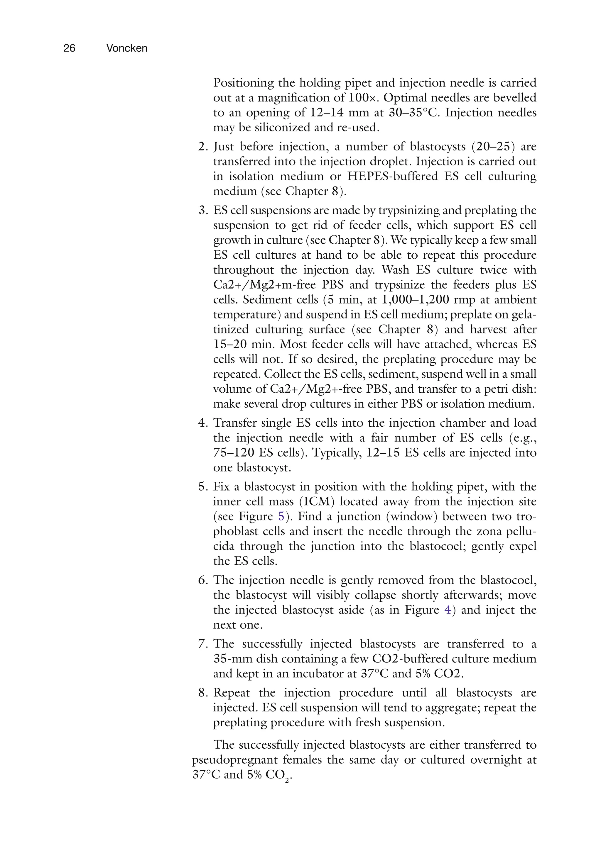 26 Voncken
Positioning the holding pipet and injection needle is carried
out at a magnification of 100×. Optimal needles are bevelled
to an opening of 12–14 mm at 30–35°C. Injection needles
may be siliconized and re-used.
2. Just before injection, a number of blastocysts (20–25) are
transferred into the injection droplet. Injection is carried out
in isolation medium or HEPES-buffered ES cell culturing
medium (see Chapter 8).
3. ES cell suspensions are made by trypsinizing and preplating the
suspension to get rid of feeder cells, which support ES cell
growth in culture (see Chapter 8). We typically keep a few small
ES cell cultures at hand to be able to repeat this procedure
throughout the injection day. Wash ES culture twice with
Ca2+/Mg2+m-free PBS and trypsinize the feeders plus ES
cells. Sediment cells (5 min, at 1,000–1,200 rmp at ambient
temperature) and suspend in ES cell medium; preplate on gela-
tinized culturing surface (see Chapter 8) and harvest after
15–20 min. Most feeder cells will have attached, whereas ES
cells will not. If so desired, the preplating procedure may be
repeated. Collect the ES cells, sediment, suspend well in a small
volume of Ca2+/Mg2+-free PBS, and transfer to a petri dish:
make several drop cultures in either PBS or isolation medium.
4. Transfer single ES cells into the injection chamber and load
the injection needle with a fair number of ES cells (e.g.,
75–120 ES cells). Typically, 12–15 ES cells are injected into
one blastocyst.
5. Fix a blastocyst in position with the holding pipet, with the
inner cell mass (ICM) located away from the injection site
(see Figure 5). Find a junction (window) between two tro-
phoblast cells and insert the needle through the zona pellu-
cida through the junction into the blastocoel; gently expel
the ES cells.
6. The injection needle is gently removed from the blastocoel,
the blastocyst will visibly collapse shortly afterwards; move
the injected blastocyst aside (as in Figure 4) and inject the
next one.
7. The successfully injected blastocysts are transferred to a
35-mm dish containing a few CO2-buffered culture medium
and kept in an incubator at 37°C and 5% CO2.
8. Repeat the injection procedure until all blastocysts are
injected. ES cell suspension will tend to aggregate; repeat the
preplating procedure with fresh suspension.
The successfully injected blastocysts are either transferred to
pseudopregnant females the same day or cultured overnight at
37°C and 5% CO2
.
 