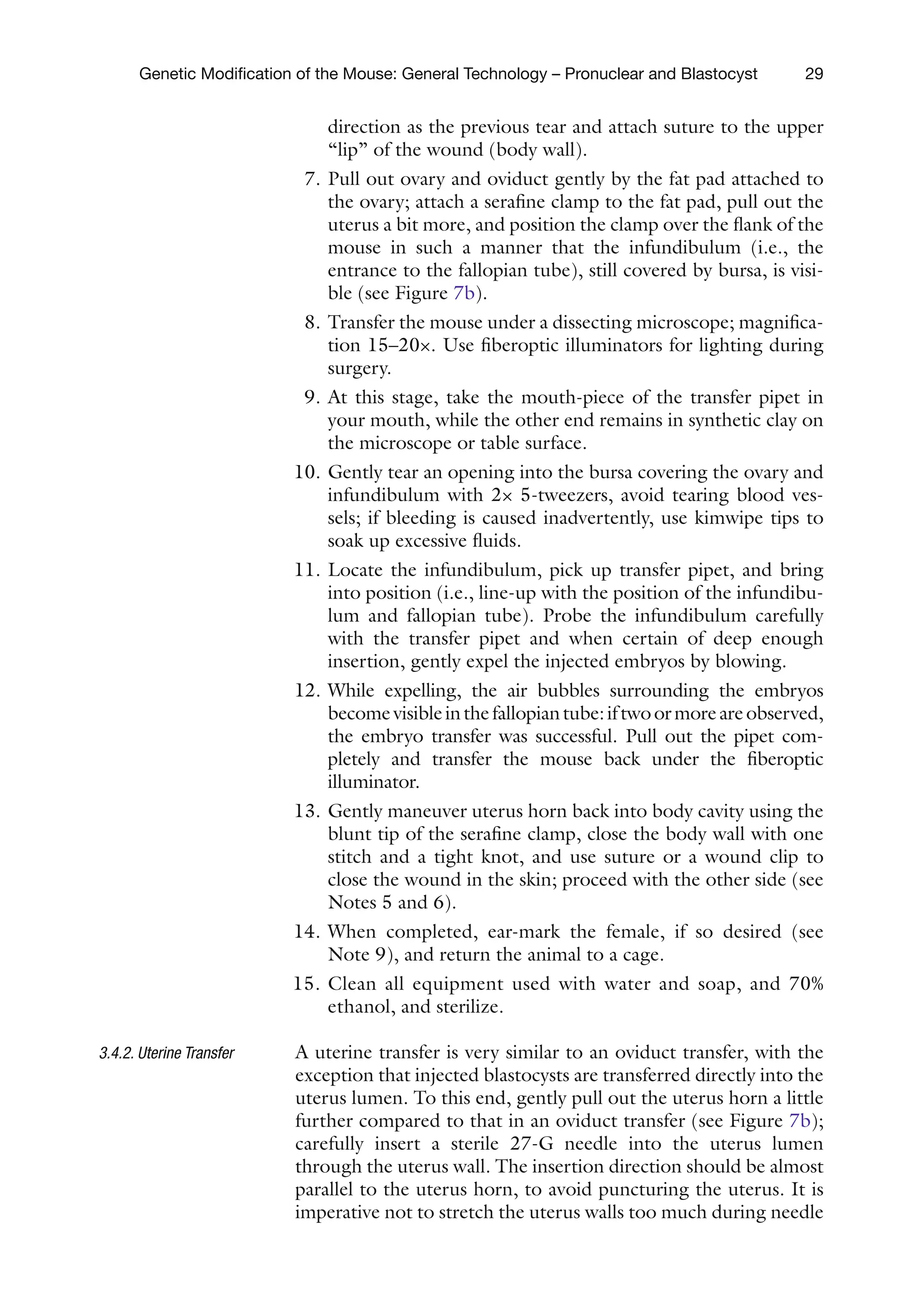 29
Genetic Modification of the Mouse: General Technology – Pronuclear and Blastocyst
direction as the previous tear and attach suture to the upper
“lip” of the wound (body wall).
7. Pull out ovary and oviduct gently by the fat pad attached to
the ovary; attach a serafine clamp to the fat pad, pull out the
uterus a bit more, and position the clamp over the flank of the
mouse in such a manner that the infundibulum (i.e., the
entrance to the fallopian tube), still covered by bursa, is visi-
ble (see Figure 7b).
8. Transfer the mouse under a dissecting microscope; magnifica-
tion 15–20×. Use fiberoptic illuminators for lighting during
surgery.
9. At this stage, take the mouth-piece of the transfer pipet in
your mouth, while the other end remains in synthetic clay on
the microscope or table surface.
10. Gently tear an opening into the bursa covering the ovary and
infundibulum with 2× 5-tweezers, avoid tearing blood ves-
sels; if bleeding is caused inadvertently, use kimwipe tips to
soak up excessive fluids.
11. Locate the infundibulum, pick up transfer pipet, and bring
into position (i.e., line-up with the position of the infundibu-
lum and fallopian tube). Probe the infundibulum carefully
with the transfer pipet and when certain of deep enough
insertion, gently expel the injected embryos by blowing.
12. While expelling, the air bubbles surrounding the embryos
becomevisibleinthefallopiantube:iftwoormoreareobserved,
the embryo transfer was successful. Pull out the pipet com-
pletely and transfer the mouse back under the fiberoptic
illuminator.
13. Gently maneuver uterus horn back into body cavity using the
blunt tip of the serafine clamp, close the body wall with one
stitch and a tight knot, and use suture or a wound clip to
close the wound in the skin; proceed with the other side (see
Notes 5 and 6).
14. When completed, ear-mark the female, if so desired (see
Note 9), and return the animal to a cage.
15. Clean all equipment used with water and soap, and 70%
ethanol, and sterilize.
A uterine transfer is very similar to an oviduct transfer, with the
exception that injected blastocysts are transferred directly into the
uterus lumen. To this end, gently pull out the uterus horn a little
further compared to that in an oviduct transfer (see Figure 7b);
carefully insert a sterile 27-G needle into the uterus lumen
through the uterus wall. The insertion direction should be almost
parallel to the uterus horn, to avoid puncturing the uterus. It is
imperative not to stretch the uterus walls too much during needle
3.4.2. Uterine Transfer
 