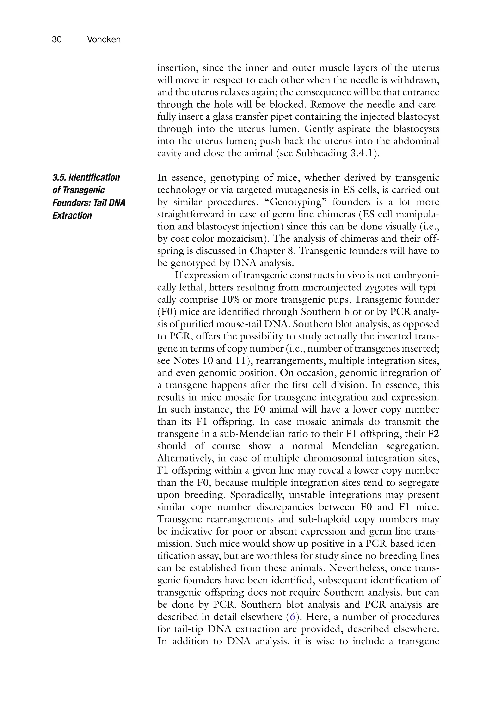 30 Voncken
insertion, since the inner and outer muscle layers of the uterus
will move in respect to each other when the needle is withdrawn,
and the uterus relaxes again; the consequence will be that entrance
through the hole will be blocked. Remove the needle and care-
fully insert a glass transfer pipet containing the injected blastocyst
through into the uterus lumen. Gently aspirate the blastocysts
into the uterus lumen; push back the uterus into the abdominal
cavity and close the animal (see Subheading 3.4.1).
In essence, genotyping of mice, whether derived by transgenic
technology or via targeted mutagenesis in ES cells, is carried out
by similar procedures. “Genotyping” founders is a lot more
straightforward in case of germ line chimeras (ES cell manipula-
tion and blastocyst injection) since this can be done visually (i.e.,
by coat color mozaicism). The analysis of chimeras and their off-
spring is discussed in Chapter 8. Transgenic founders will have to
be genotyped by DNA analysis.
If expression of transgenic constructs in vivo is not embryoni-
cally lethal, litters resulting from microinjected zygotes will typi-
cally comprise 10% or more transgenic pups. Transgenic founder
(F0) mice are identified through Southern blot or by PCR analy-
sis of purified mouse-tail DNA. Southern blot analysis, as opposed
to PCR, offers the possibility to study actually the inserted trans-
gene in terms of copy number (i.e., number of transgenes inserted;
see Notes 10 and 11), rearrangements, multiple integration sites,
and even genomic position. On occasion, genomic integration of
a transgene happens after the first cell division. In essence, this
results in mice mosaic for transgene integration and expression.
In such instance, the F0 animal will have a lower copy number
than its F1 offspring. In case mosaic animals do transmit the
transgene in a sub-Mendelian ratio to their F1 offspring, their F2
should of course show a normal Mendelian segregation.
Alternatively, in case of multiple chromosomal integration sites,
F1 offspring within a given line may reveal a lower copy number
than the F0, because multiple integration sites tend to segregate
upon breeding. Sporadically, unstable integrations may present
similar copy number discrepancies between F0 and F1 mice.
Transgene rearrangements and sub-haploid copy numbers may
be indicative for poor or absent expression and germ line trans-
mission. Such mice would show up positive in a PCR-based iden-
tification assay, but are worthless for study since no breeding lines
can be established from these animals. Nevertheless, once trans-
genic founders have been identified, subsequent identification of
transgenic offspring does not require Southern analysis, but can
be done by PCR. Southern blot analysis and PCR analysis are
described in detail elsewhere (6). Here, a number of procedures
for tail-tip DNA extraction are provided, described elsewhere.
In addition to DNA analysis, it is wise to include a transgene
3.5. Identification
of Transgenic
Founders: Tail DNA
Extraction
 