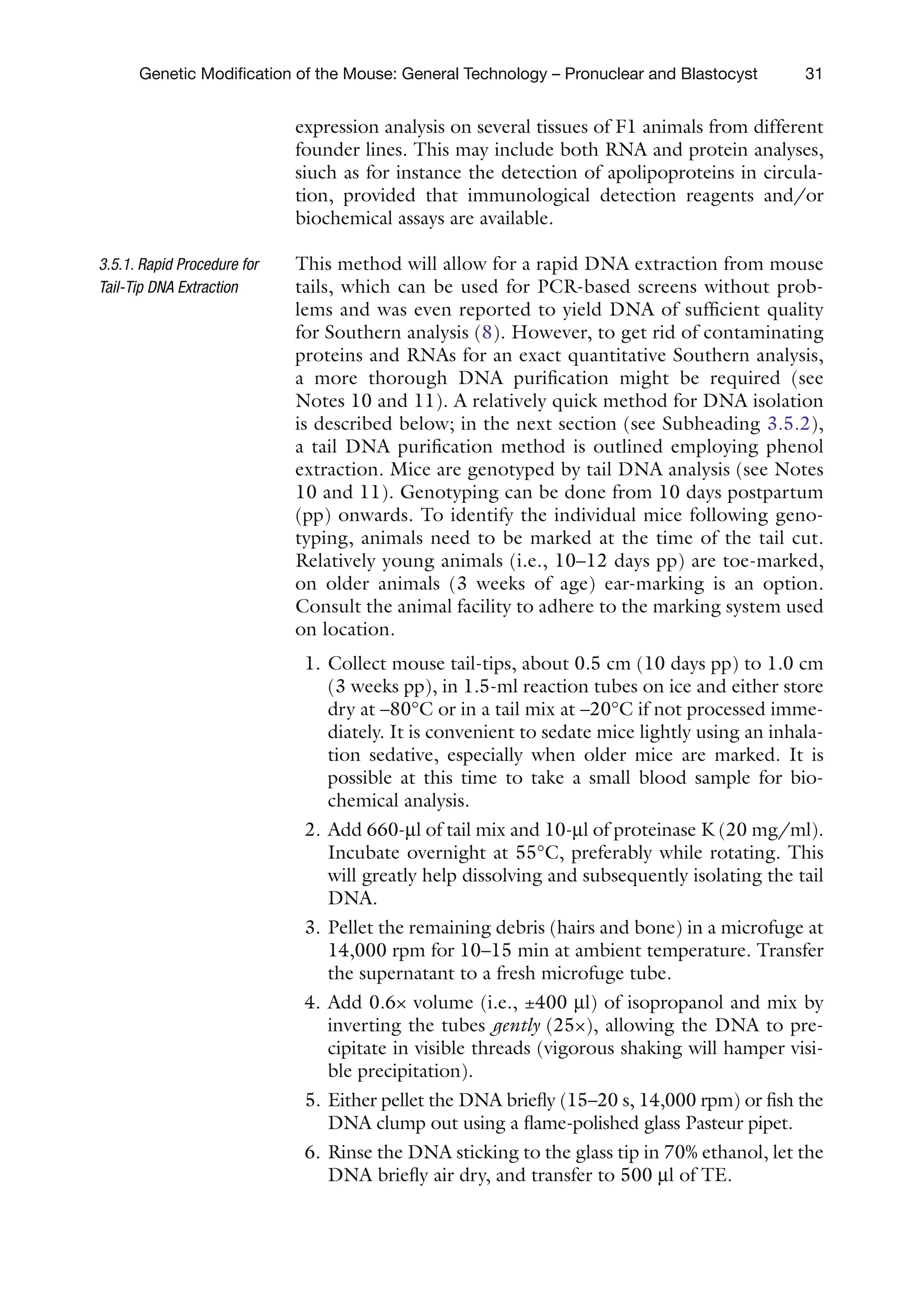 31
Genetic Modification of the Mouse: General Technology – Pronuclear and Blastocyst
expression analysis on several tissues of F1 animals from different
founder lines. This may include both RNA and protein analyses,
siuch as for instance the detection of apolipoproteins in circula-
tion, provided that immunological detection reagents and/or
biochemical assays are available.
This method will allow for a rapid DNA extraction from mouse
tails, which can be used for PCR-based screens without prob-
lems and was even reported to yield DNA of sufficient quality
for Southern analysis (8). However, to get rid of contaminating
proteins and RNAs for an exact quantitative Southern analysis,
a more thorough DNA purification might be required (see
Notes 10 and 11). A relatively quick method for DNA isolation
is described below; in the next section (see Subheading 3.5.2),
a tail DNA purification method is outlined employing phenol
extraction. Mice are genotyped by tail DNA analysis (see Notes
10 and 11). Genotyping can be done from 10 days postpartum
(pp) onwards. To identify the individual mice following geno-
typing, animals need to be marked at the time of the tail cut.
Relatively young animals (i.e., 10–12 days pp) are toe-marked,
on older animals (3 weeks of age) ear-marking is an option.
Consult the animal facility to adhere to the marking system used
on location.
1. Collect mouse tail-tips, about 0.5 cm (10 days pp) to 1.0 cm
(3 weeks pp), in 1.5-ml reaction tubes on ice and either store
dry at –80°C or in a tail mix at –20°C if not processed imme-
diately. It is convenient to sedate mice lightly using an inhala-
tion sedative, especially when older mice are marked. It is
possible at this time to take a small blood sample for bio-
chemical analysis.
2. Add 660-ml of tail mix and 10-ml of proteinase K (20 mg/ml).
Incubate overnight at 55°C, preferably while rotating. This
will greatly help dissolving and subsequently isolating the tail
DNA.
3. Pellet the remaining debris (hairs and bone) in a microfuge at
14,000 rpm for 10–15 min at ambient temperature. Transfer
the supernatant to a fresh microfuge tube.
4. Add 0.6× volume (i.e., ±400 ml) of isopropanol and mix by
inverting the tubes gently (25×), allowing the DNA to pre-
cipitate in visible threads (vigorous shaking will hamper visi-
ble precipitation).
5. Either pellet the DNA briefly (15–20 s, 14,000 rpm) or fish the
DNA clump out using a flame-polished glass Pasteur pipet.
6. Rinse the DNA sticking to the glass tip in 70% ethanol, let the
DNA briefly air dry, and transfer to 500 ml of TE.
3.5.1. Rapid Procedure for
Tail-Tip DNA Extraction
 