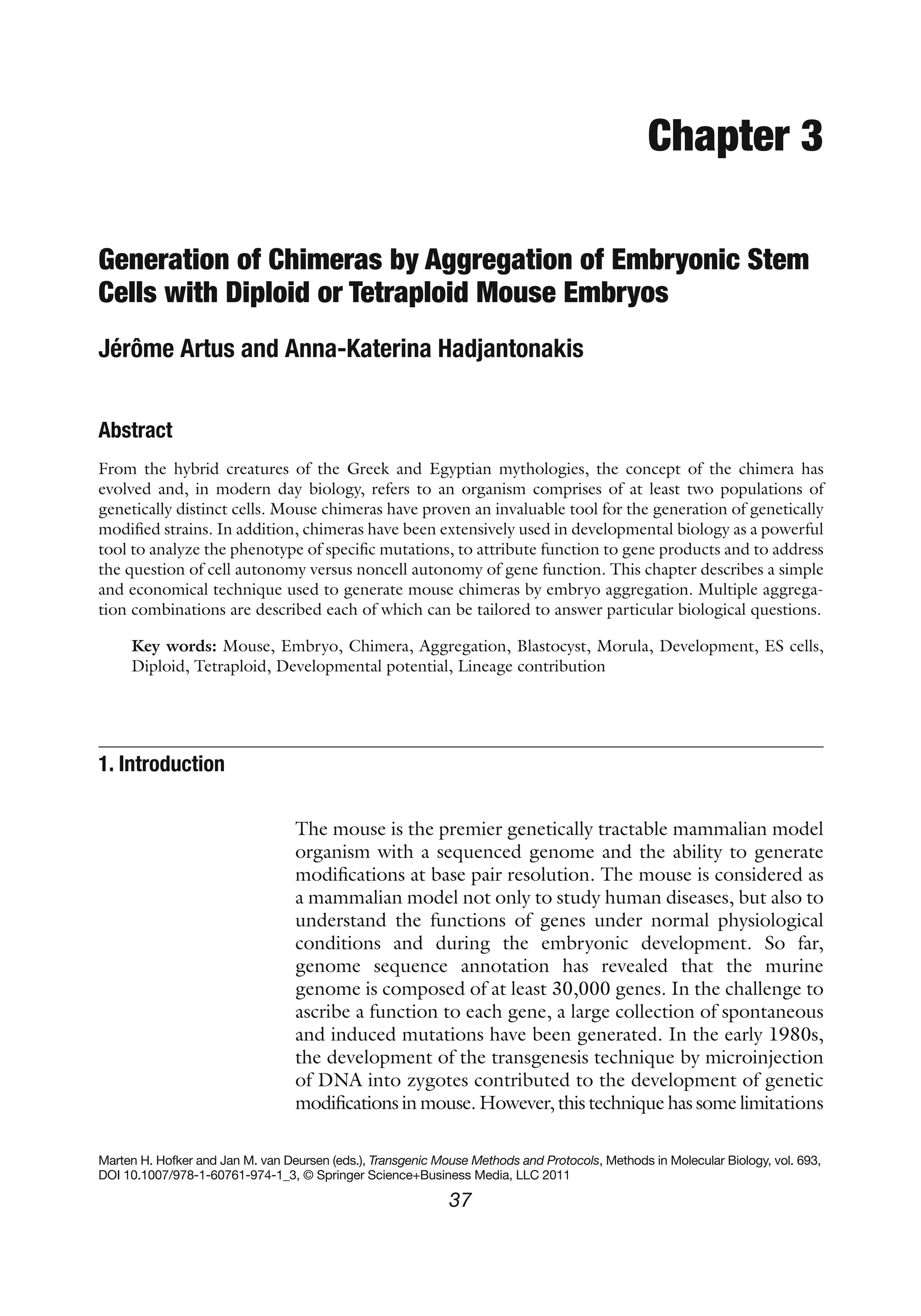 37
Chapter 3
Generation of Chimeras by Aggregation of Embryonic Stem
Cells with Diploid or Tetraploid Mouse Embryos
Jérôme Artus and Anna-Katerina Hadjantonakis
Abstract
From the hybrid creatures of the Greek and Egyptian mythologies, the concept of the chimera has
evolved and, in modern day biology, refers to an organism comprises of at least two populations of
genetically distinct cells. Mouse chimeras have proven an invaluable tool for the generation of genetically
modified strains. In addition, chimeras have been extensively used in developmental biology as a powerful
tool to analyze the phenotype of specific mutations, to attribute function to gene products and to address
the question of cell autonomy versus noncell autonomy of gene function. This chapter describes a simple
and economical technique used to generate mouse chimeras by embryo aggregation. Multiple aggrega-
tion combinations are described each of which can be tailored to answer particular biological questions.
Key words: Mouse, Embryo, Chimera, Aggregation, Blastocyst, Morula, Development, ES cells,
Diploid, Tetraploid, Developmental potential, Lineage contribution
The mouse is the premier genetically tractable mammalian model
organism with a sequenced genome and the ability to generate
modifications at base pair resolution. The mouse is considered as
a mammalian model not only to study human diseases, but also to
understand the functions of genes under normal physiological
conditions and during the embryonic development. So far,
genome sequence annotation has revealed that the murine
genome is composed of at least 30,000 genes. In the challenge to
ascribe a function to each gene, a large collection of spontaneous
and induced mutations have been generated. In the early 1980s,
the development of the transgenesis technique by microinjection
of DNA into zygotes contributed to the development of genetic
modifications in mouse. However, this technique has some limitations
1. 
Introduction
Marten H. Hofker and Jan M. van Deursen (eds.), Transgenic Mouse Methods and Protocols, Methods in Molecular Biology, vol. 693,
DOI 10.1007/978-1-60761-974-1_3, © Springer Science+Business Media, LLC 2011
 