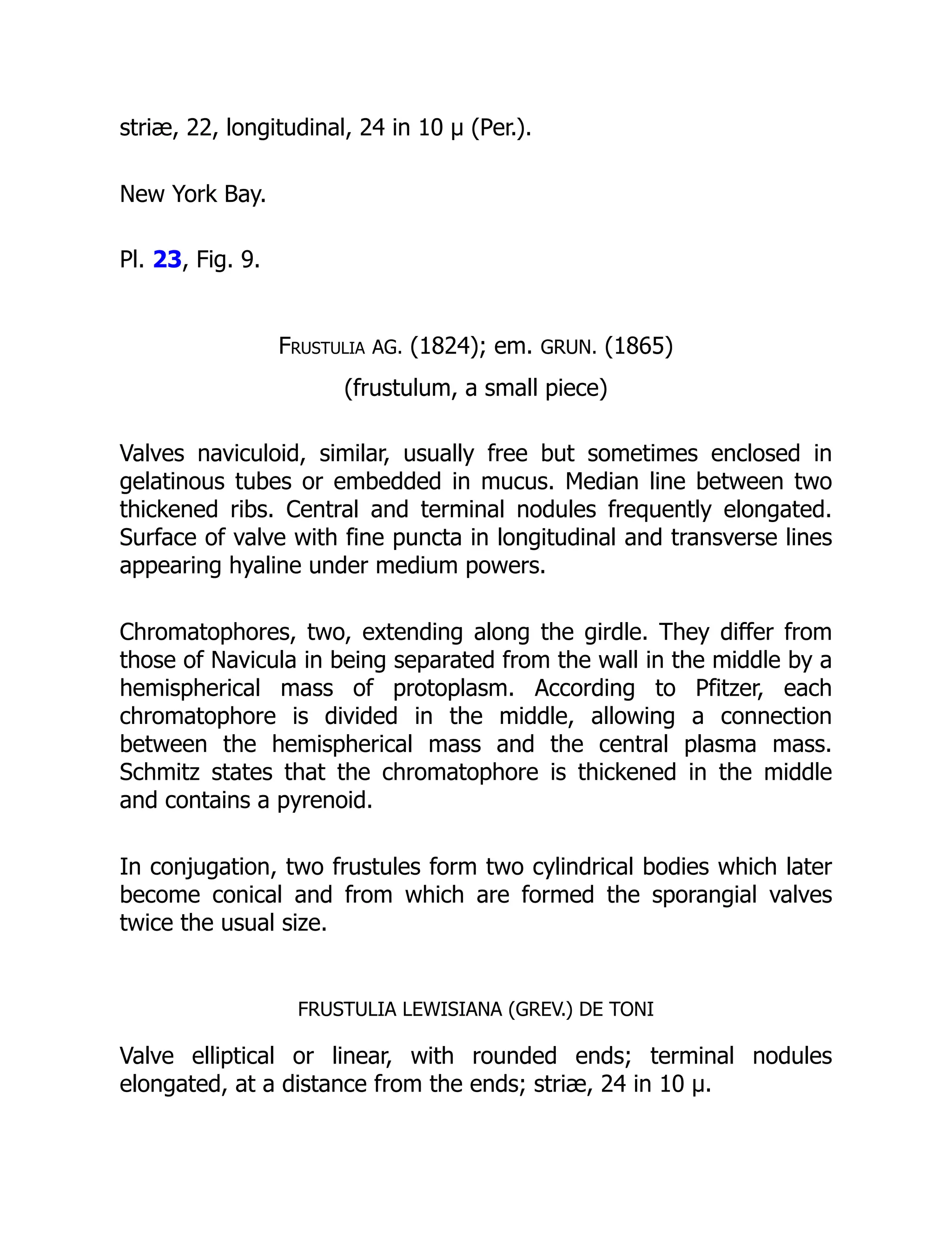 striæ, 22, longitudinal, 24 in 10 µ (Per.).
New York Bay.
Pl. 23, Fig. 9.
Frustulia AG. (1824); em. GRUN. (1865)
(frustulum, a small piece)
Valves naviculoid, similar, usually free but sometimes enclosed in
gelatinous tubes or embedded in mucus. Median line between two
thickened ribs. Central and terminal nodules frequently elongated.
Surface of valve with fine puncta in longitudinal and transverse lines
appearing hyaline under medium powers.
Chromatophores, two, extending along the girdle. They differ from
those of Navicula in being separated from the wall in the middle by a
hemispherical mass of protoplasm. According to Pfitzer, each
chromatophore is divided in the middle, allowing a connection
between the hemispherical mass and the central plasma mass.
Schmitz states that the chromatophore is thickened in the middle
and contains a pyrenoid.
In conjugation, two frustules form two cylindrical bodies which later
become conical and from which are formed the sporangial valves
twice the usual size.
FRUSTULIA LEWISIANA (GREV.) DE TONI
Valve elliptical or linear, with rounded ends; terminal nodules
elongated, at a distance from the ends; striæ, 24 in 10 µ.
 