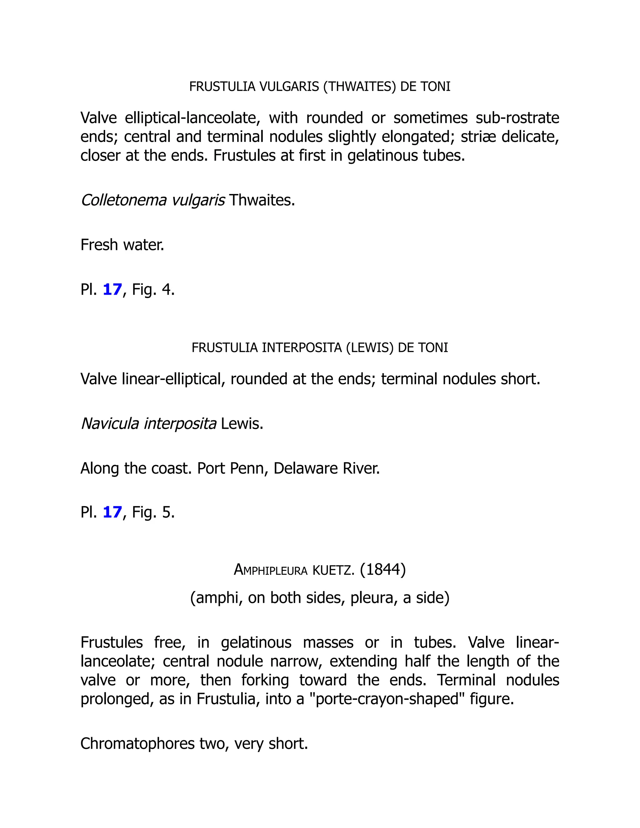 FRUSTULIA VULGARIS (THWAITES) DE TONI
Valve elliptical-lanceolate, with rounded or sometimes sub-rostrate
ends; central and terminal nodules slightly elongated; striæ delicate,
closer at the ends. Frustules at first in gelatinous tubes.
Colletonema vulgaris Thwaites.
Fresh water.
Pl. 17, Fig. 4.
FRUSTULIA INTERPOSITA (LEWIS) DE TONI
Valve linear-elliptical, rounded at the ends; terminal nodules short.
Navicula interposita Lewis.
Along the coast. Port Penn, Delaware River.
Pl. 17, Fig. 5.
Amphipleura KUETZ. (1844)
(amphi, on both sides, pleura, a side)
Frustules free, in gelatinous masses or in tubes. Valve linear-
lanceolate; central nodule narrow, extending half the length of the
valve or more, then forking toward the ends. Terminal nodules
prolonged, as in Frustulia, into a porte-crayon-shaped figure.
Chromatophores two, very short.
 