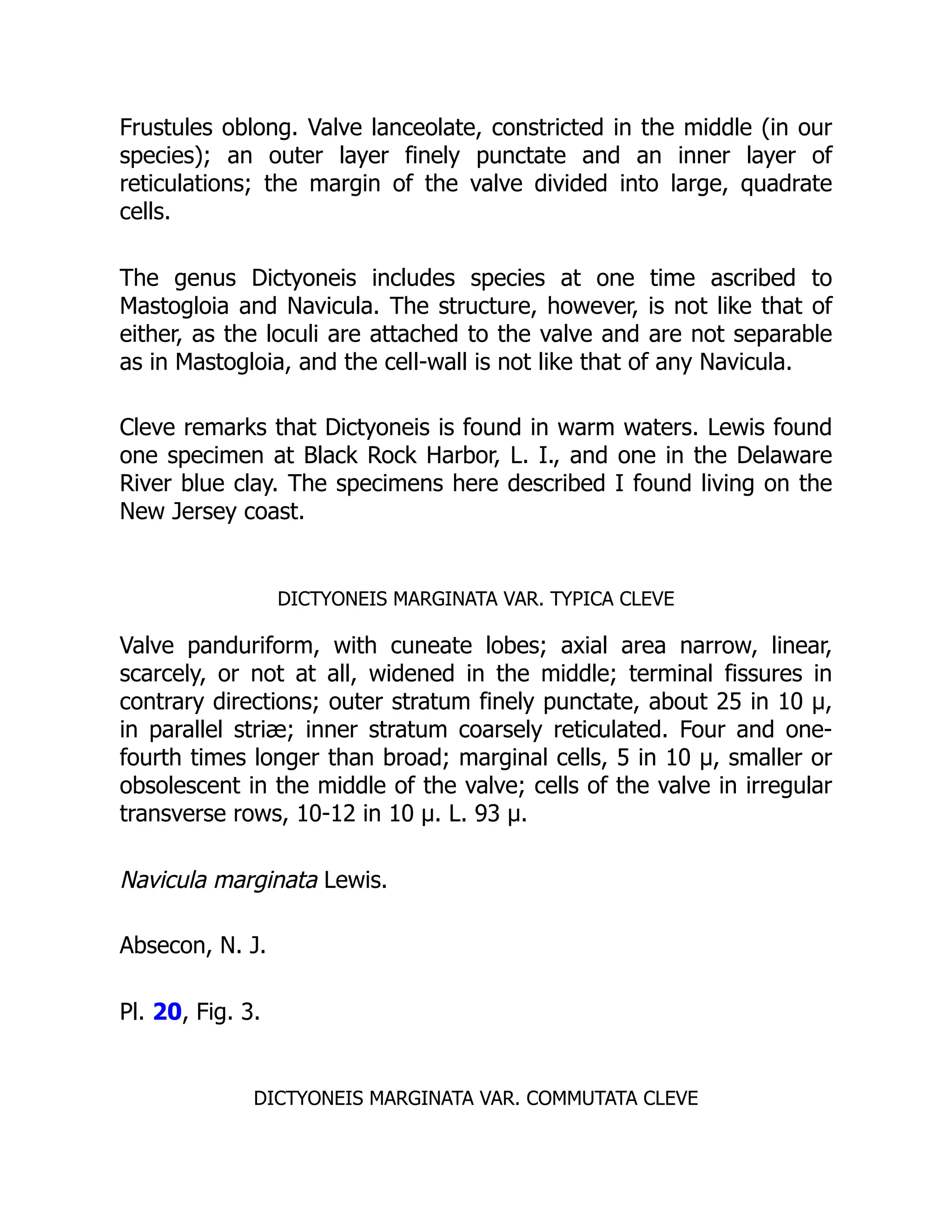 Frustules oblong. Valve lanceolate, constricted in the middle (in our
species); an outer layer finely punctate and an inner layer of
reticulations; the margin of the valve divided into large, quadrate
cells.
The genus Dictyoneis includes species at one time ascribed to
Mastogloia and Navicula. The structure, however, is not like that of
either, as the loculi are attached to the valve and are not separable
as in Mastogloia, and the cell-wall is not like that of any Navicula.
Cleve remarks that Dictyoneis is found in warm waters. Lewis found
one specimen at Black Rock Harbor, L. I., and one in the Delaware
River blue clay. The specimens here described I found living on the
New Jersey coast.
DICTYONEIS MARGINATA VAR. TYPICA CLEVE
Valve panduriform, with cuneate lobes; axial area narrow, linear,
scarcely, or not at all, widened in the middle; terminal fissures in
contrary directions; outer stratum finely punctate, about 25 in 10 µ,
in parallel striæ; inner stratum coarsely reticulated. Four and one-
fourth times longer than broad; marginal cells, 5 in 10 µ, smaller or
obsolescent in the middle of the valve; cells of the valve in irregular
transverse rows, 10-12 in 10 µ. L. 93 µ.
Navicula marginata Lewis.
Absecon, N. J.
Pl. 20, Fig. 3.
DICTYONEIS MARGINATA VAR. COMMUTATA CLEVE
 