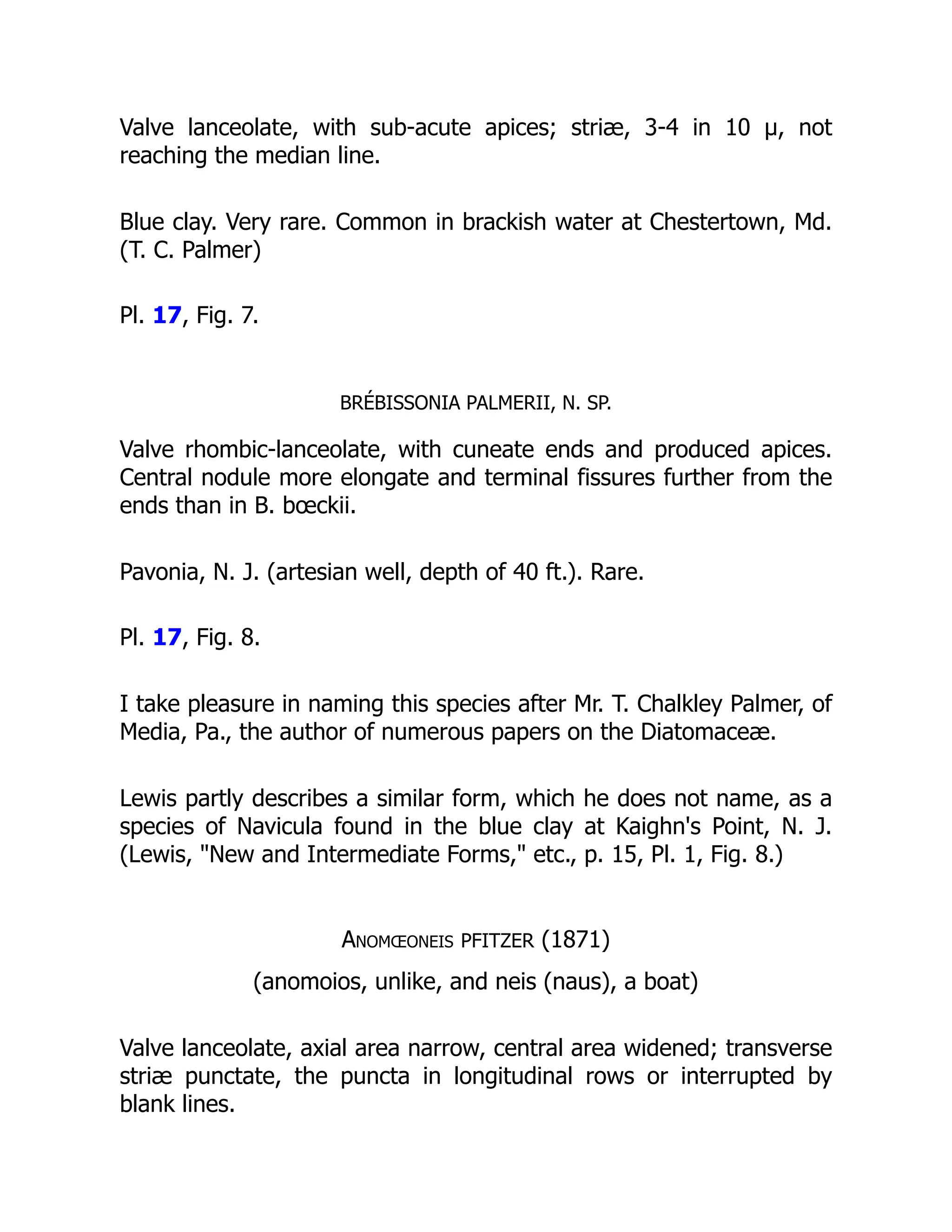 Valve lanceolate, with sub-acute apices; striæ, 3-4 in 10 µ, not
reaching the median line.
Blue clay. Very rare. Common in brackish water at Chestertown, Md.
(T. C. Palmer)
Pl. 17, Fig. 7.
BRÉBISSONIA PALMERII, N. SP.
Valve rhombic-lanceolate, with cuneate ends and produced apices.
Central nodule more elongate and terminal fissures further from the
ends than in B. bœckii.
Pavonia, N. J. (artesian well, depth of 40 ft.). Rare.
Pl. 17, Fig. 8.
I take pleasure in naming this species after Mr. T. Chalkley Palmer, of
Media, Pa., the author of numerous papers on the Diatomaceæ.
Lewis partly describes a similar form, which he does not name, as a
species of Navicula found in the blue clay at Kaighn's Point, N. J.
(Lewis, New and Intermediate Forms, etc., p. 15, Pl. 1, Fig. 8.)
Anomœoneis PFITZER (1871)
(anomoios, unlike, and neis (naus), a boat)
Valve lanceolate, axial area narrow, central area widened; transverse
striæ punctate, the puncta in longitudinal rows or interrupted by
blank lines.
 