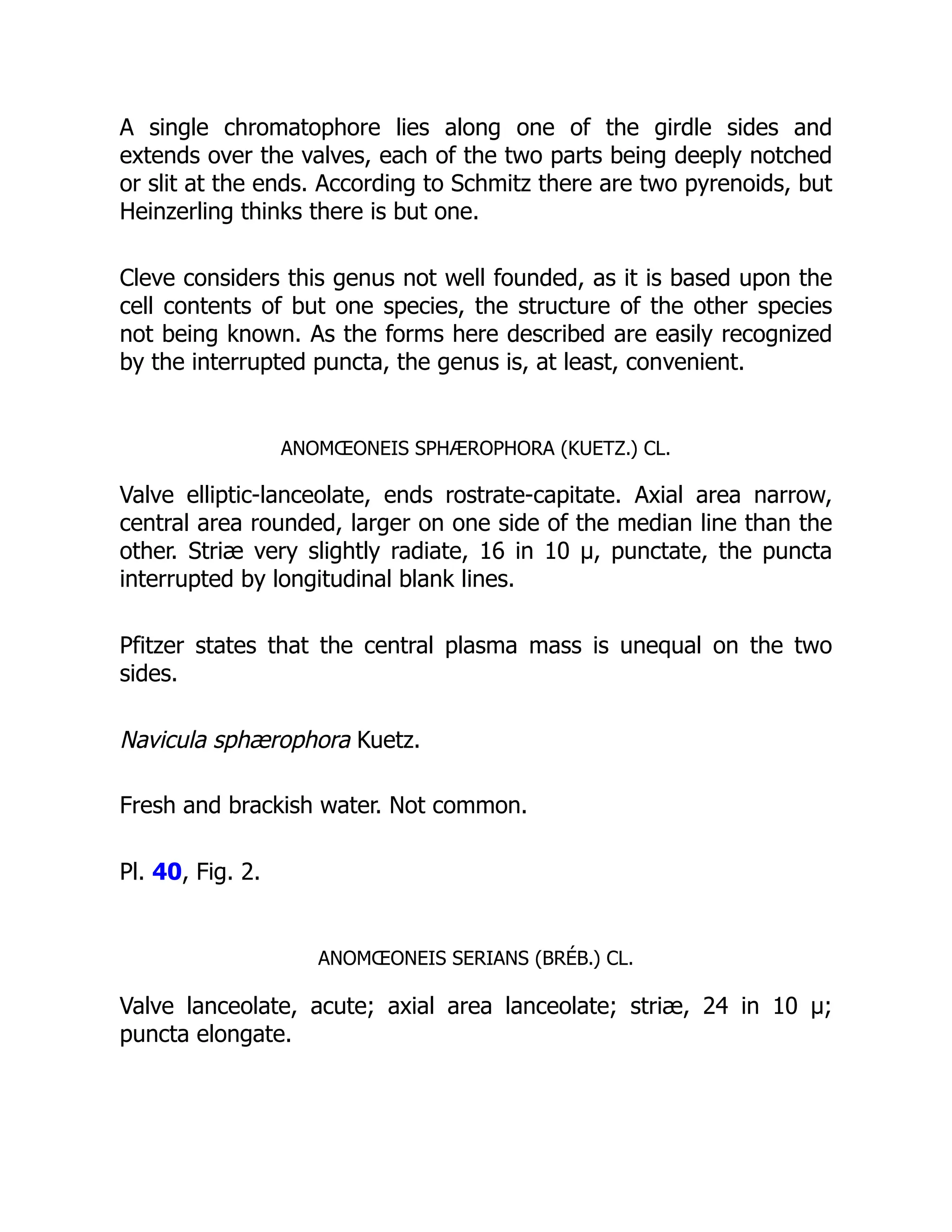 A single chromatophore lies along one of the girdle sides and
extends over the valves, each of the two parts being deeply notched
or slit at the ends. According to Schmitz there are two pyrenoids, but
Heinzerling thinks there is but one.
Cleve considers this genus not well founded, as it is based upon the
cell contents of but one species, the structure of the other species
not being known. As the forms here described are easily recognized
by the interrupted puncta, the genus is, at least, convenient.
ANOMŒONEIS SPHÆROPHORA (KUETZ.) CL.
Valve elliptic-lanceolate, ends rostrate-capitate. Axial area narrow,
central area rounded, larger on one side of the median line than the
other. Striæ very slightly radiate, 16 in 10 µ, punctate, the puncta
interrupted by longitudinal blank lines.
Pfitzer states that the central plasma mass is unequal on the two
sides.
Navicula sphærophora Kuetz.
Fresh and brackish water. Not common.
Pl. 40, Fig. 2.
ANOMŒONEIS SERIANS (BRÉB.) CL.
Valve lanceolate, acute; axial area lanceolate; striæ, 24 in 10 µ;
puncta elongate.
 