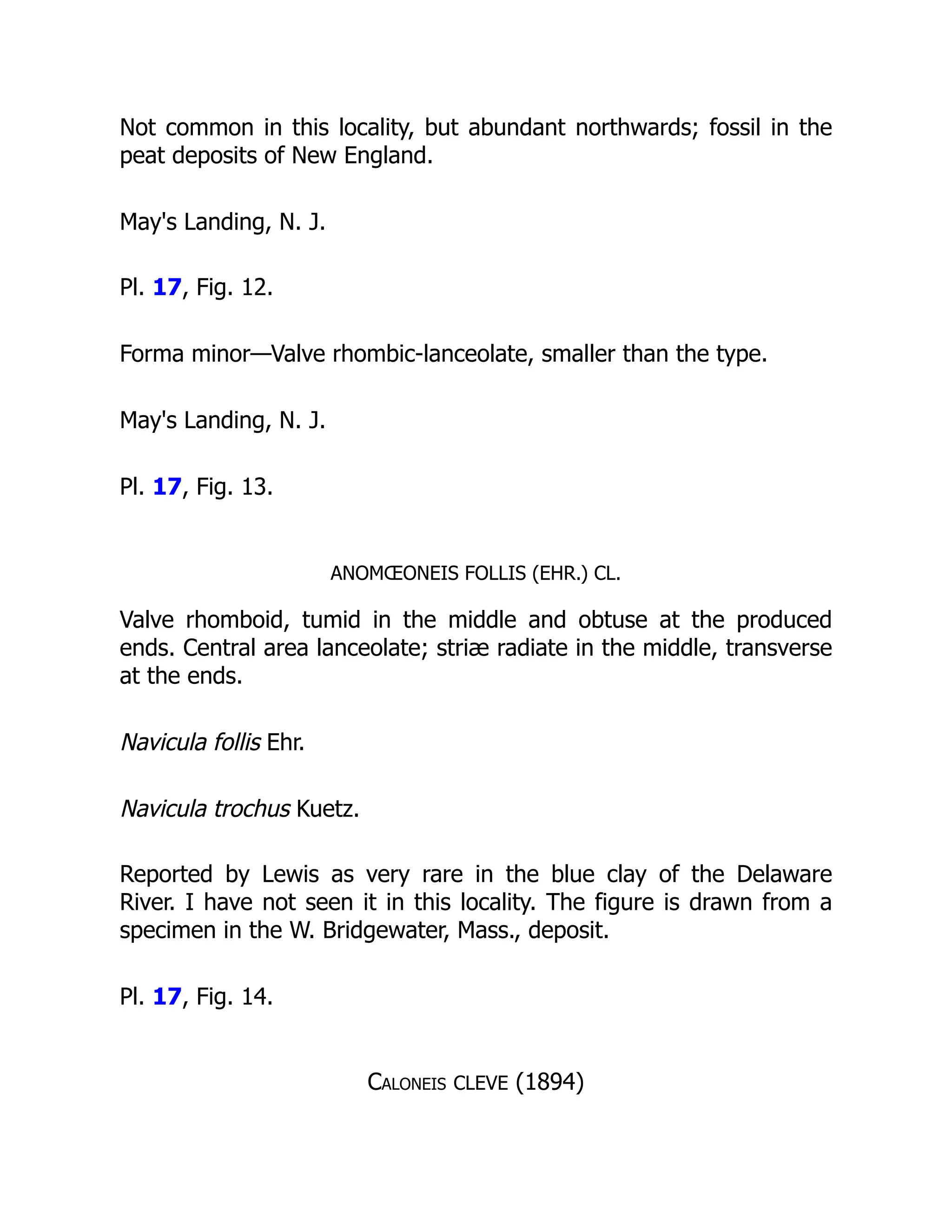 Not common in this locality, but abundant northwards; fossil in the
peat deposits of New England.
May's Landing, N. J.
Pl. 17, Fig. 12.
Forma minor—Valve rhombic-lanceolate, smaller than the type.
May's Landing, N. J.
Pl. 17, Fig. 13.
ANOMŒONEIS FOLLIS (EHR.) CL.
Valve rhomboid, tumid in the middle and obtuse at the produced
ends. Central area lanceolate; striæ radiate in the middle, transverse
at the ends.
Navicula follis Ehr.
Navicula trochus Kuetz.
Reported by Lewis as very rare in the blue clay of the Delaware
River. I have not seen it in this locality. The figure is drawn from a
specimen in the W. Bridgewater, Mass., deposit.
Pl. 17, Fig. 14.
Caloneis CLEVE (1894)
 