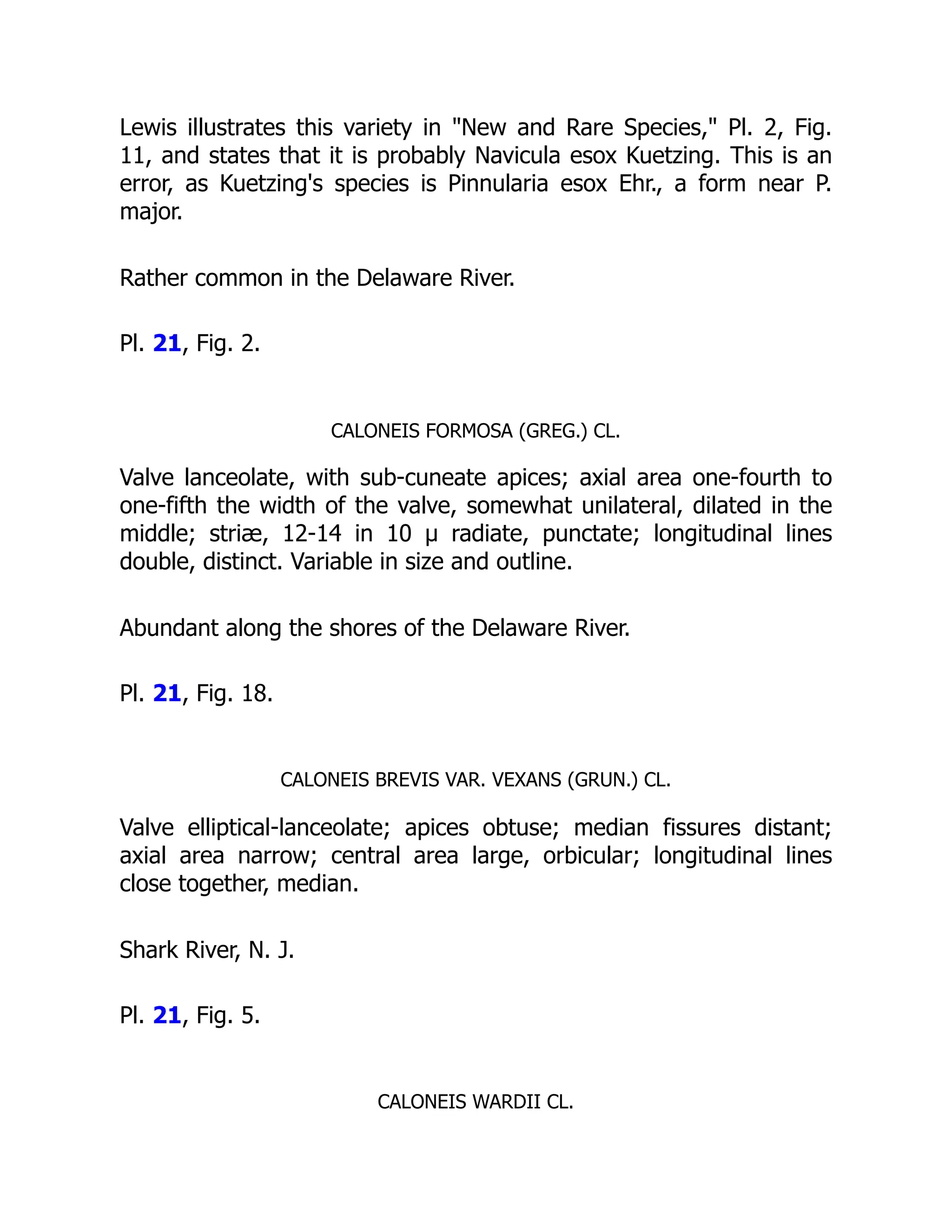 Lewis illustrates this variety in New and Rare Species, Pl. 2, Fig.
11, and states that it is probably Navicula esox Kuetzing. This is an
error, as Kuetzing's species is Pinnularia esox Ehr., a form near P.
major.
Rather common in the Delaware River.
Pl. 21, Fig. 2.
CALONEIS FORMOSA (GREG.) CL.
Valve lanceolate, with sub-cuneate apices; axial area one-fourth to
one-fifth the width of the valve, somewhat unilateral, dilated in the
middle; striæ, 12-14 in 10 µ radiate, punctate; longitudinal lines
double, distinct. Variable in size and outline.
Abundant along the shores of the Delaware River.
Pl. 21, Fig. 18.
CALONEIS BREVIS VAR. VEXANS (GRUN.) CL.
Valve elliptical-lanceolate; apices obtuse; median fissures distant;
axial area narrow; central area large, orbicular; longitudinal lines
close together, median.
Shark River, N. J.
Pl. 21, Fig. 5.
CALONEIS WARDII CL.
 