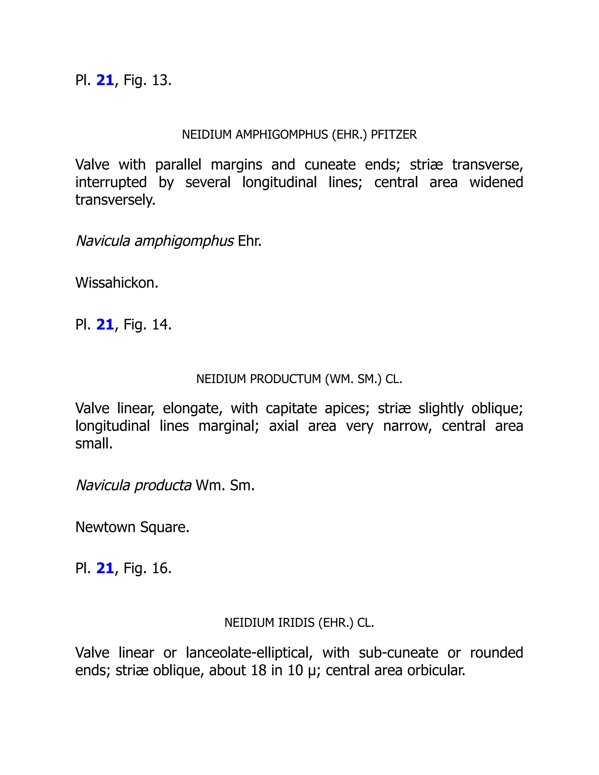 Pl. 21, Fig. 13.
NEIDIUM AMPHIGOMPHUS (EHR.) PFITZER
Valve with parallel margins and cuneate ends; striæ transverse,
interrupted by several longitudinal lines; central area widened
transversely.
Navicula amphigomphus Ehr.
Wissahickon.
Pl. 21, Fig. 14.
NEIDIUM PRODUCTUM (WM. SM.) CL.
Valve linear, elongate, with capitate apices; striæ slightly oblique;
longitudinal lines marginal; axial area very narrow, central area
small.
Navicula producta Wm. Sm.
Newtown Square.
Pl. 21, Fig. 16.
NEIDIUM IRIDIS (EHR.) CL.
Valve linear or lanceolate-elliptical, with sub-cuneate or rounded
ends; striæ oblique, about 18 in 10 µ; central area orbicular.
 
