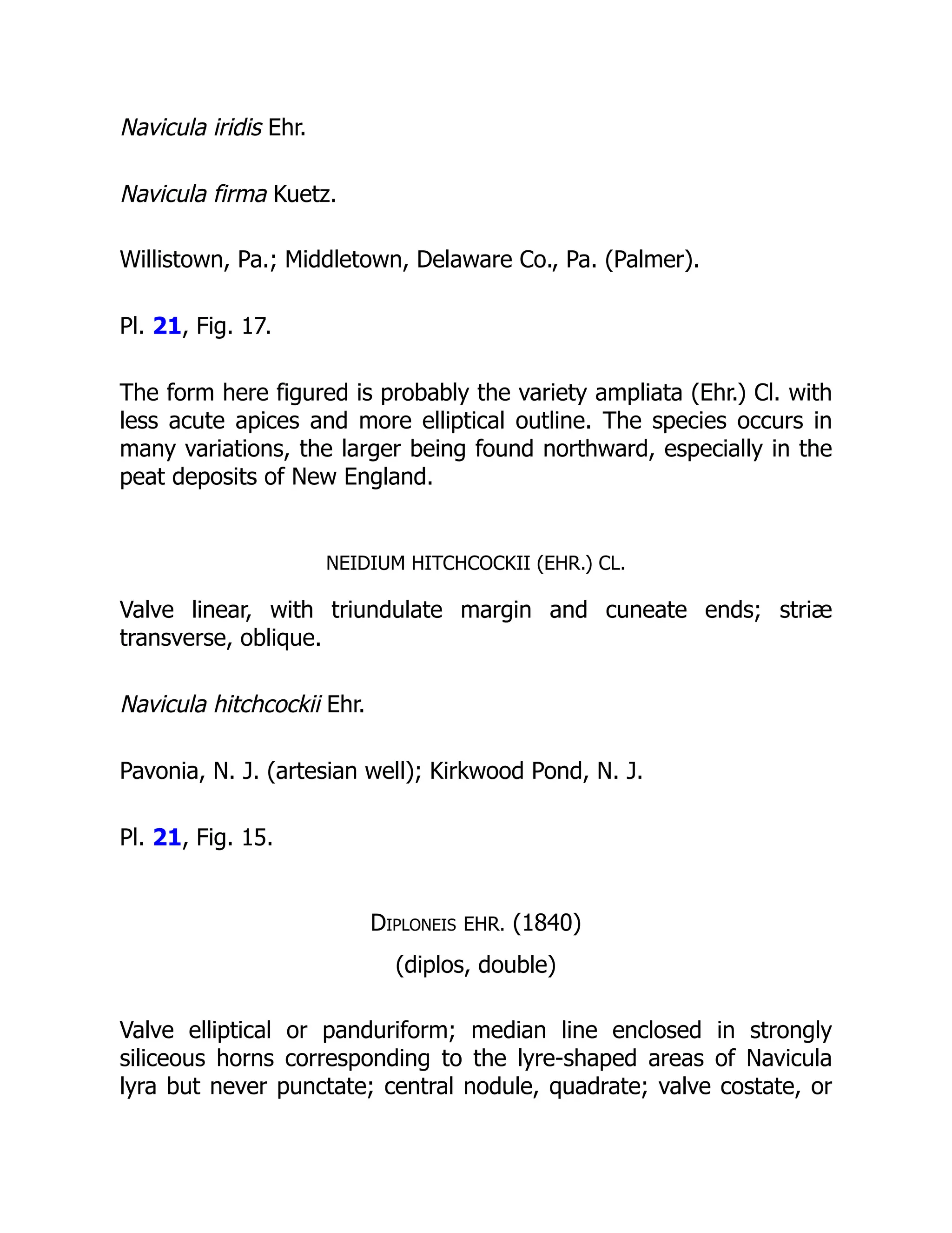 Navicula iridis Ehr.
Navicula firma Kuetz.
Willistown, Pa.; Middletown, Delaware Co., Pa. (Palmer).
Pl. 21, Fig. 17.
The form here figured is probably the variety ampliata (Ehr.) Cl. with
less acute apices and more elliptical outline. The species occurs in
many variations, the larger being found northward, especially in the
peat deposits of New England.
NEIDIUM HITCHCOCKII (EHR.) CL.
Valve linear, with triundulate margin and cuneate ends; striæ
transverse, oblique.
Navicula hitchcockii Ehr.
Pavonia, N. J. (artesian well); Kirkwood Pond, N. J.
Pl. 21, Fig. 15.
Diploneis EHR. (1840)
(diplos, double)
Valve elliptical or panduriform; median line enclosed in strongly
siliceous horns corresponding to the lyre-shaped areas of Navicula
lyra but never punctate; central nodule, quadrate; valve costate, or
 