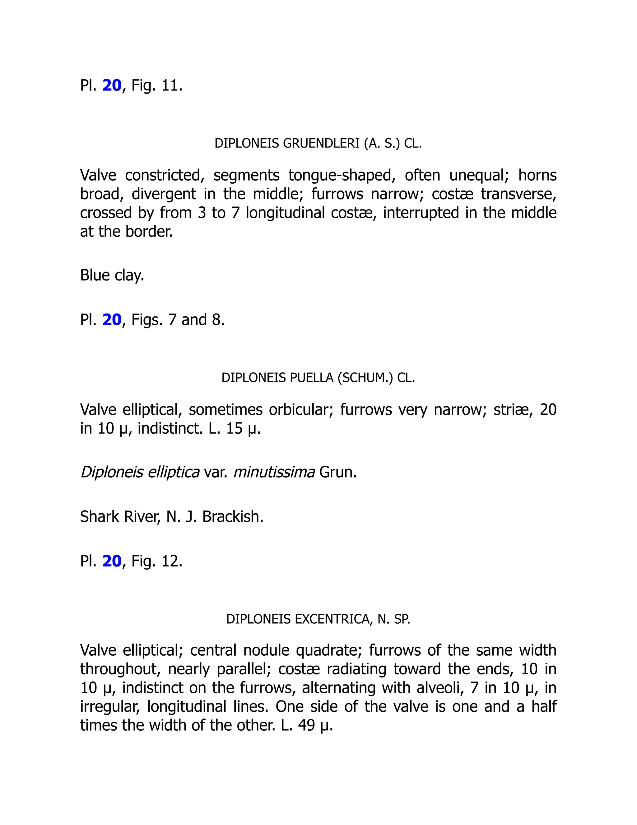Pl. 20, Fig. 11.
DIPLONEIS GRUENDLERI (A. S.) CL.
Valve constricted, segments tongue-shaped, often unequal; horns
broad, divergent in the middle; furrows narrow; costæ transverse,
crossed by from 3 to 7 longitudinal costæ, interrupted in the middle
at the border.
Blue clay.
Pl. 20, Figs. 7 and 8.
DIPLONEIS PUELLA (SCHUM.) CL.
Valve elliptical, sometimes orbicular; furrows very narrow; striæ, 20
in 10 µ, indistinct. L. 15 µ.
Diploneis elliptica var. minutissima Grun.
Shark River, N. J. Brackish.
Pl. 20, Fig. 12.
DIPLONEIS EXCENTRICA, N. SP.
Valve elliptical; central nodule quadrate; furrows of the same width
throughout, nearly parallel; costæ radiating toward the ends, 10 in
10 µ, indistinct on the furrows, alternating with alveoli, 7 in 10 µ, in
irregular, longitudinal lines. One side of the valve is one and a half
times the width of the other. L. 49 µ.
 