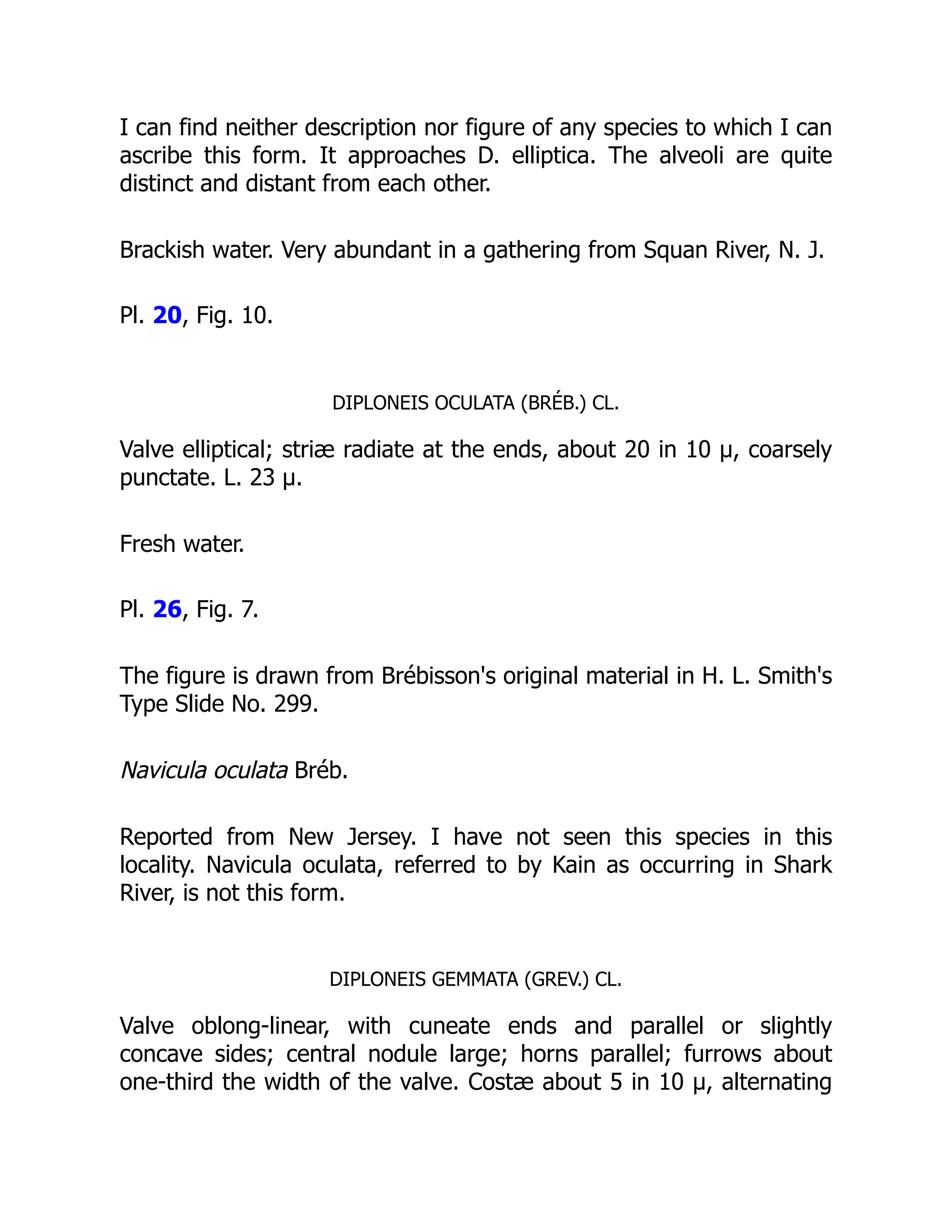 I can find neither description nor figure of any species to which I can
ascribe this form. It approaches D. elliptica. The alveoli are quite
distinct and distant from each other.
Brackish water. Very abundant in a gathering from Squan River, N. J.
Pl. 20, Fig. 10.
DIPLONEIS OCULATA (BRÉB.) CL.
Valve elliptical; striæ radiate at the ends, about 20 in 10 µ, coarsely
punctate. L. 23 µ.
Fresh water.
Pl. 26, Fig. 7.
The figure is drawn from Brébisson's original material in H. L. Smith's
Type Slide No. 299.
Navicula oculata Bréb.
Reported from New Jersey. I have not seen this species in this
locality. Navicula oculata, referred to by Kain as occurring in Shark
River, is not this form.
DIPLONEIS GEMMATA (GREV.) CL.
Valve oblong-linear, with cuneate ends and parallel or slightly
concave sides; central nodule large; horns parallel; furrows about
one-third the width of the valve. Costæ about 5 in 10 µ, alternating
 