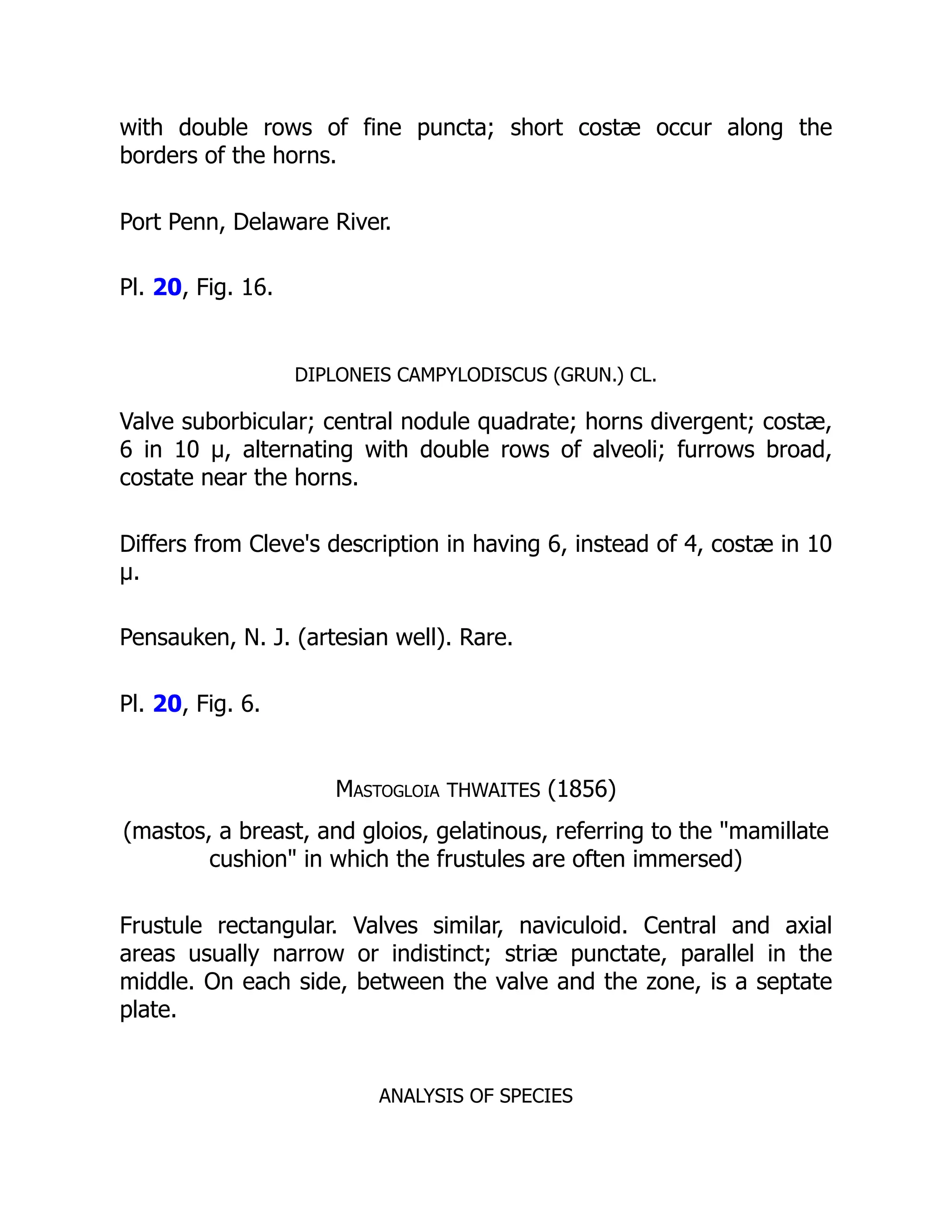 with double rows of fine puncta; short costæ occur along the
borders of the horns.
Port Penn, Delaware River.
Pl. 20, Fig. 16.
DIPLONEIS CAMPYLODISCUS (GRUN.) CL.
Valve suborbicular; central nodule quadrate; horns divergent; costæ,
6 in 10 µ, alternating with double rows of alveoli; furrows broad,
costate near the horns.
Differs from Cleve's description in having 6, instead of 4, costæ in 10
µ.
Pensauken, N. J. (artesian well). Rare.
Pl. 20, Fig. 6.
Mastogloia THWAITES (1856)
(mastos, a breast, and gloios, gelatinous, referring to the mamillate
cushion in which the frustules are often immersed)
Frustule rectangular. Valves similar, naviculoid. Central and axial
areas usually narrow or indistinct; striæ punctate, parallel in the
middle. On each side, between the valve and the zone, is a septate
plate.
ANALYSIS OF SPECIES
 