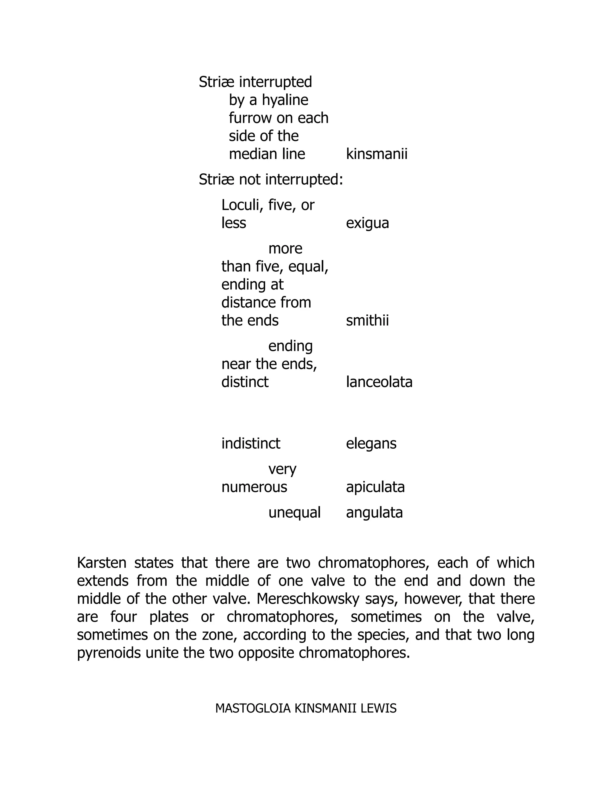 Striæ interrupted
by a hyaline
furrow on each
side of the
median line kinsmanii
Striæ not interrupted:
Loculi, five, or
less exigua
more
than five, equal,
ending at
distance from
the ends smithii
ending
near the ends,
distinct lanceolata
indistinct elegans
very
numerous apiculata
unequal angulata
Karsten states that there are two chromatophores, each of which
extends from the middle of one valve to the end and down the
middle of the other valve. Mereschkowsky says, however, that there
are four plates or chromatophores, sometimes on the valve,
sometimes on the zone, according to the species, and that two long
pyrenoids unite the two opposite chromatophores.
MASTOGLOIA KINSMANII LEWIS
 