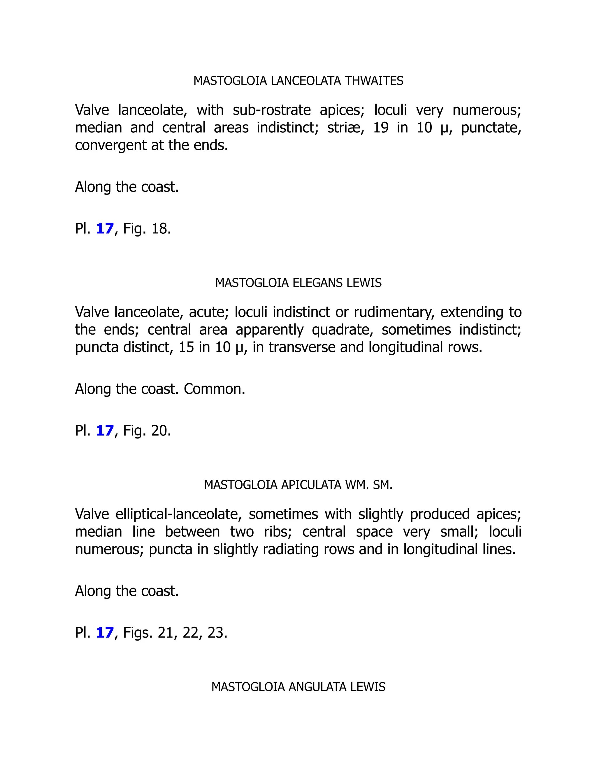 MASTOGLOIA LANCEOLATA THWAITES
Valve lanceolate, with sub-rostrate apices; loculi very numerous;
median and central areas indistinct; striæ, 19 in 10 µ, punctate,
convergent at the ends.
Along the coast.
Pl. 17, Fig. 18.
MASTOGLOIA ELEGANS LEWIS
Valve lanceolate, acute; loculi indistinct or rudimentary, extending to
the ends; central area apparently quadrate, sometimes indistinct;
puncta distinct, 15 in 10 µ, in transverse and longitudinal rows.
Along the coast. Common.
Pl. 17, Fig. 20.
MASTOGLOIA APICULATA WM. SM.
Valve elliptical-lanceolate, sometimes with slightly produced apices;
median line between two ribs; central space very small; loculi
numerous; puncta in slightly radiating rows and in longitudinal lines.
Along the coast.
Pl. 17, Figs. 21, 22, 23.
MASTOGLOIA ANGULATA LEWIS
 