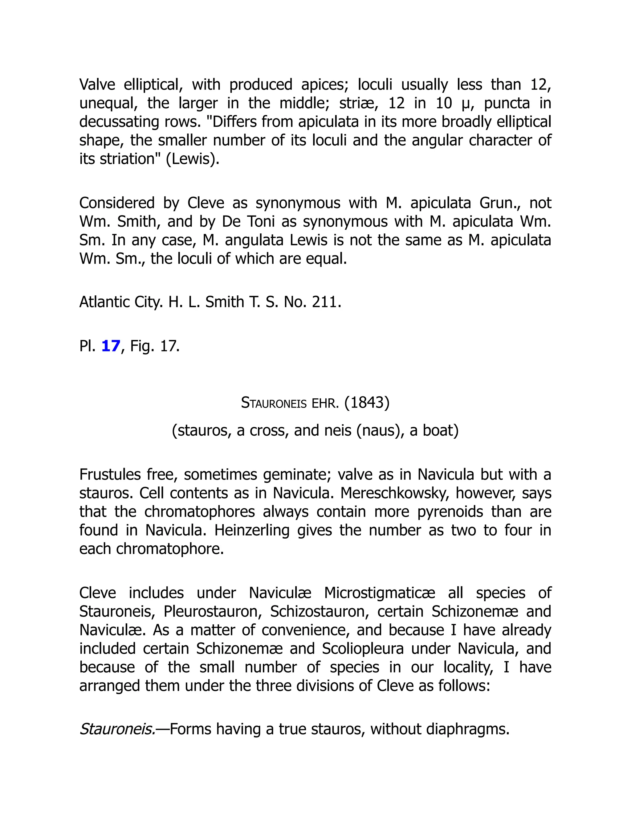 Valve elliptical, with produced apices; loculi usually less than 12,
unequal, the larger in the middle; striæ, 12 in 10 µ, puncta in
decussating rows. Differs from apiculata in its more broadly elliptical
shape, the smaller number of its loculi and the angular character of
its striation (Lewis).
Considered by Cleve as synonymous with M. apiculata Grun., not
Wm. Smith, and by De Toni as synonymous with M. apiculata Wm.
Sm. In any case, M. angulata Lewis is not the same as M. apiculata
Wm. Sm., the loculi of which are equal.
Atlantic City. H. L. Smith T. S. No. 211.
Pl. 17, Fig. 17.
Stauroneis EHR. (1843)
(stauros, a cross, and neis (naus), a boat)
Frustules free, sometimes geminate; valve as in Navicula but with a
stauros. Cell contents as in Navicula. Mereschkowsky, however, says
that the chromatophores always contain more pyrenoids than are
found in Navicula. Heinzerling gives the number as two to four in
each chromatophore.
Cleve includes under Naviculæ Microstigmaticæ all species of
Stauroneis, Pleurostauron, Schizostauron, certain Schizonemæ and
Naviculæ. As a matter of convenience, and because I have already
included certain Schizonemæ and Scoliopleura under Navicula, and
because of the small number of species in our locality, I have
arranged them under the three divisions of Cleve as follows:
Stauroneis.—Forms having a true stauros, without diaphragms.
 