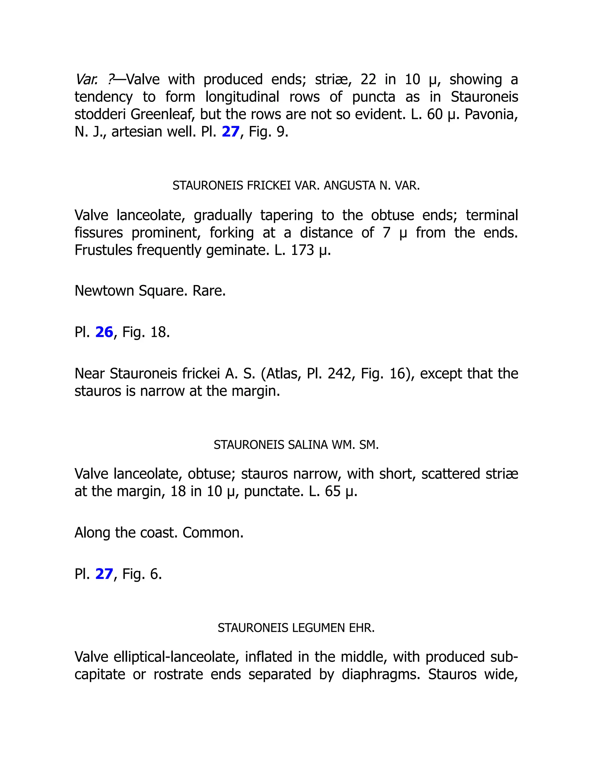 Var. ?—Valve with produced ends; striæ, 22 in 10 µ, showing a
tendency to form longitudinal rows of puncta as in Stauroneis
stodderi Greenleaf, but the rows are not so evident. L. 60 µ. Pavonia,
N. J., artesian well. Pl. 27, Fig. 9.
STAURONEIS FRICKEI VAR. ANGUSTA N. VAR.
Valve lanceolate, gradually tapering to the obtuse ends; terminal
fissures prominent, forking at a distance of 7 µ from the ends.
Frustules frequently geminate. L. 173 µ.
Newtown Square. Rare.
Pl. 26, Fig. 18.
Near Stauroneis frickei A. S. (Atlas, Pl. 242, Fig. 16), except that the
stauros is narrow at the margin.
STAURONEIS SALINA WM. SM.
Valve lanceolate, obtuse; stauros narrow, with short, scattered striæ
at the margin, 18 in 10 µ, punctate. L. 65 µ.
Along the coast. Common.
Pl. 27, Fig. 6.
STAURONEIS LEGUMEN EHR.
Valve elliptical-lanceolate, inflated in the middle, with produced sub-
capitate or rostrate ends separated by diaphragms. Stauros wide,
 